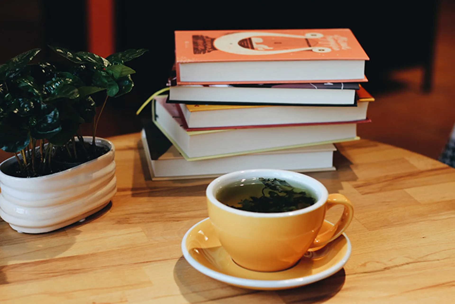 Книжки для тих, хто потребує відчуття дому та сімейного затишку