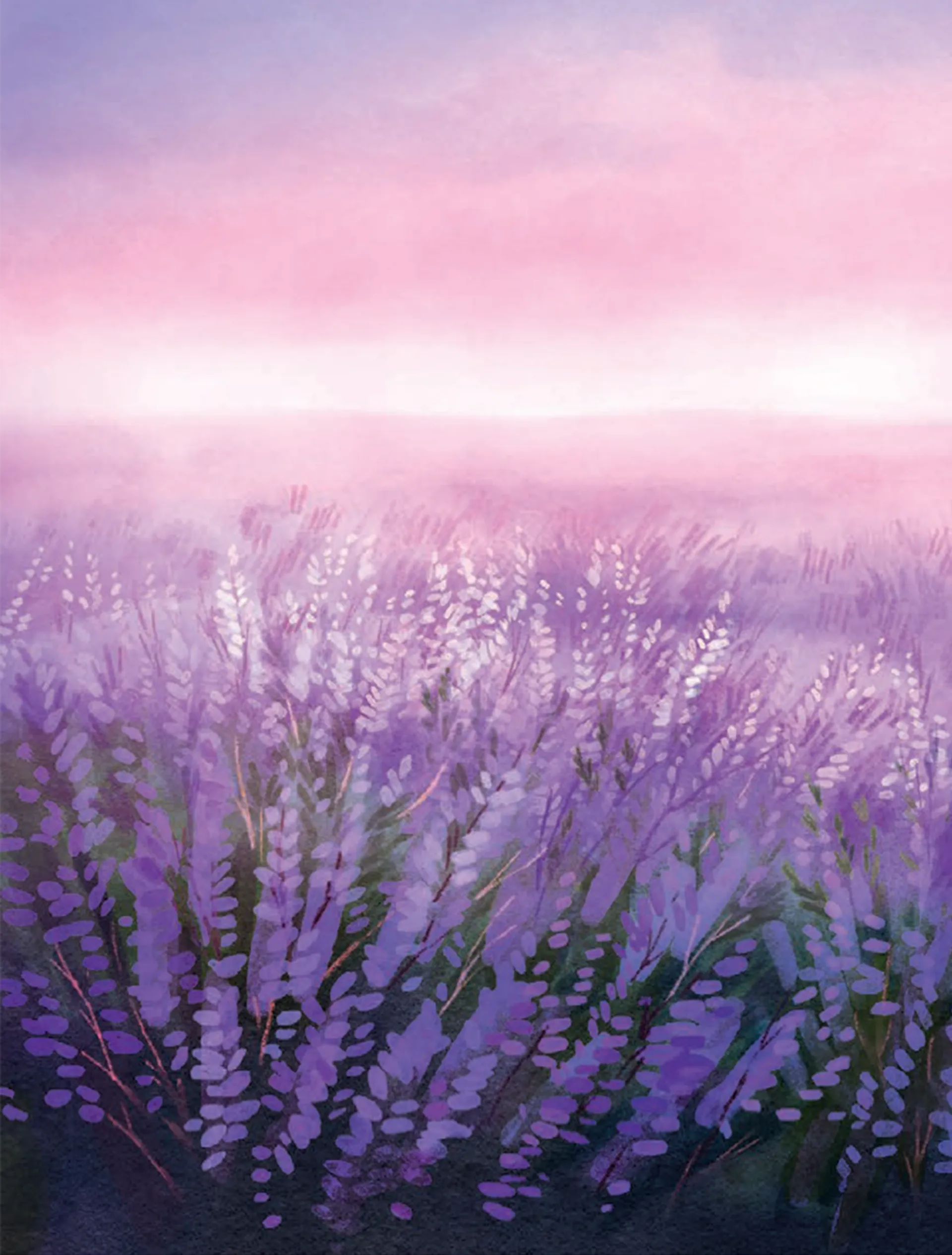 Вересова Міль