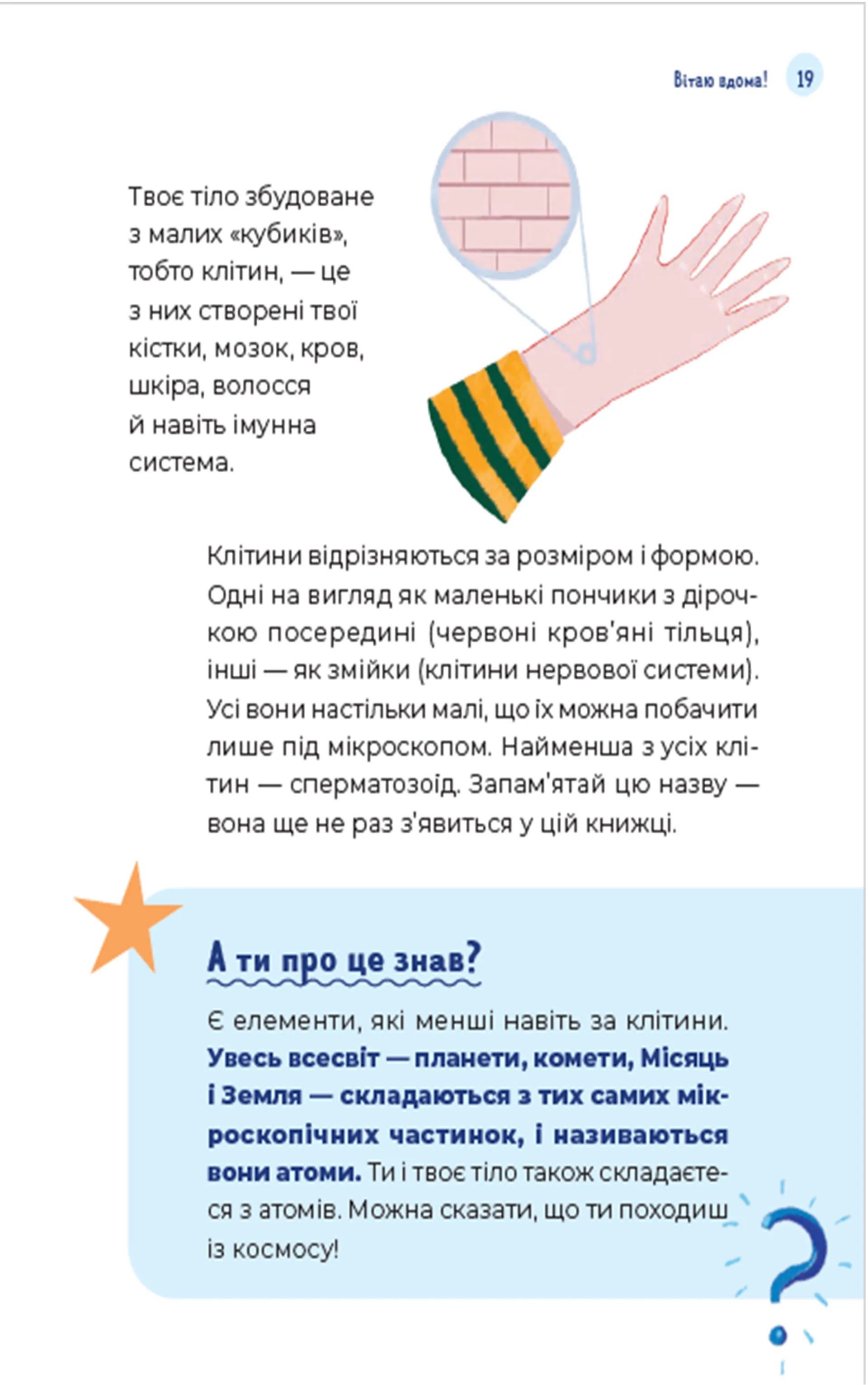 Путівник світом дорослішання для хлопців: зміни в тілі, емоції та бодіпозитив