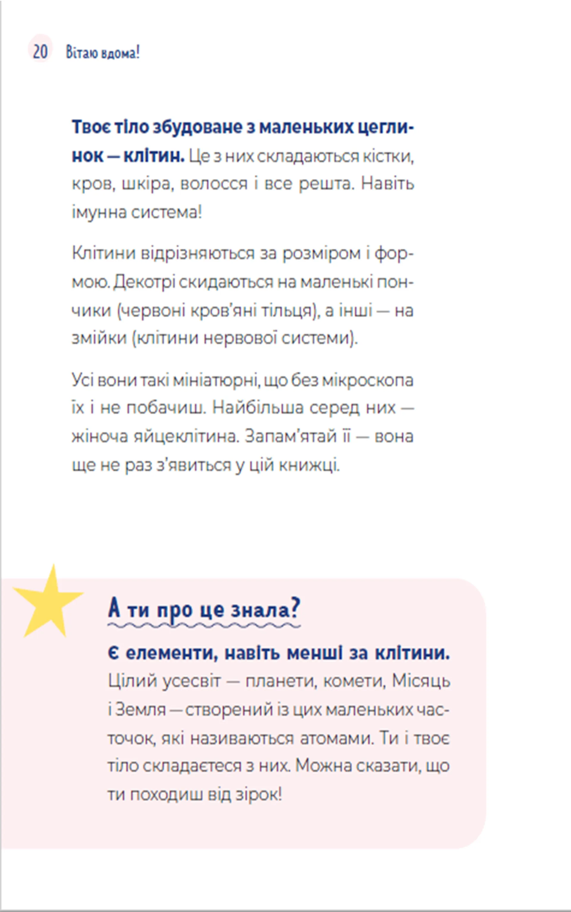 Путівник світом дорослішання для дівчат: зміни в тілі, перші місячні та бодіпозитив