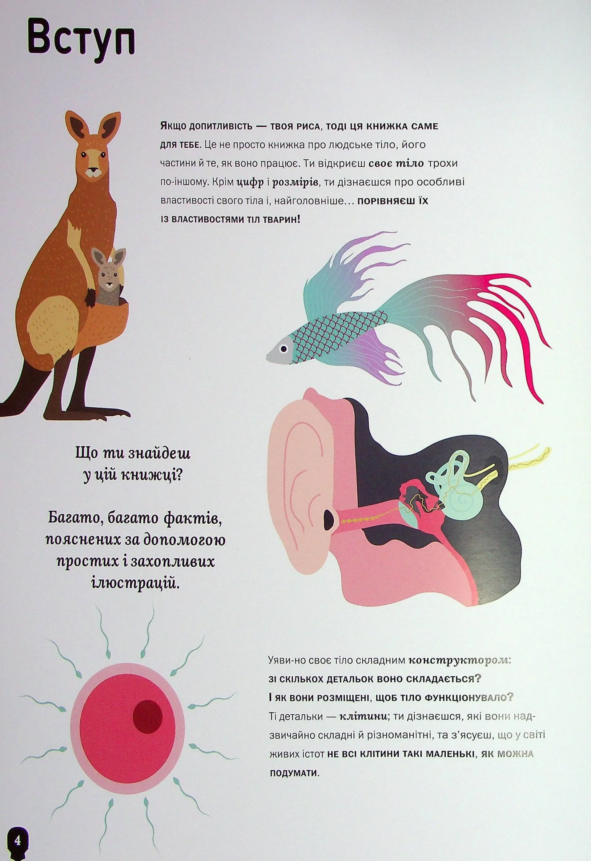 Тіло людини. Таємниці нашого тіла