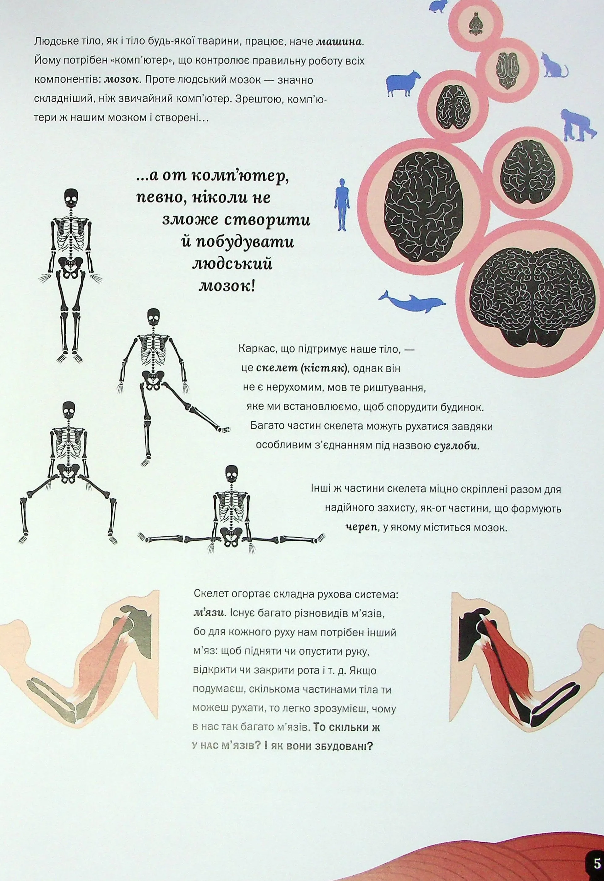 Тіло людини. Таємниці нашого тіла