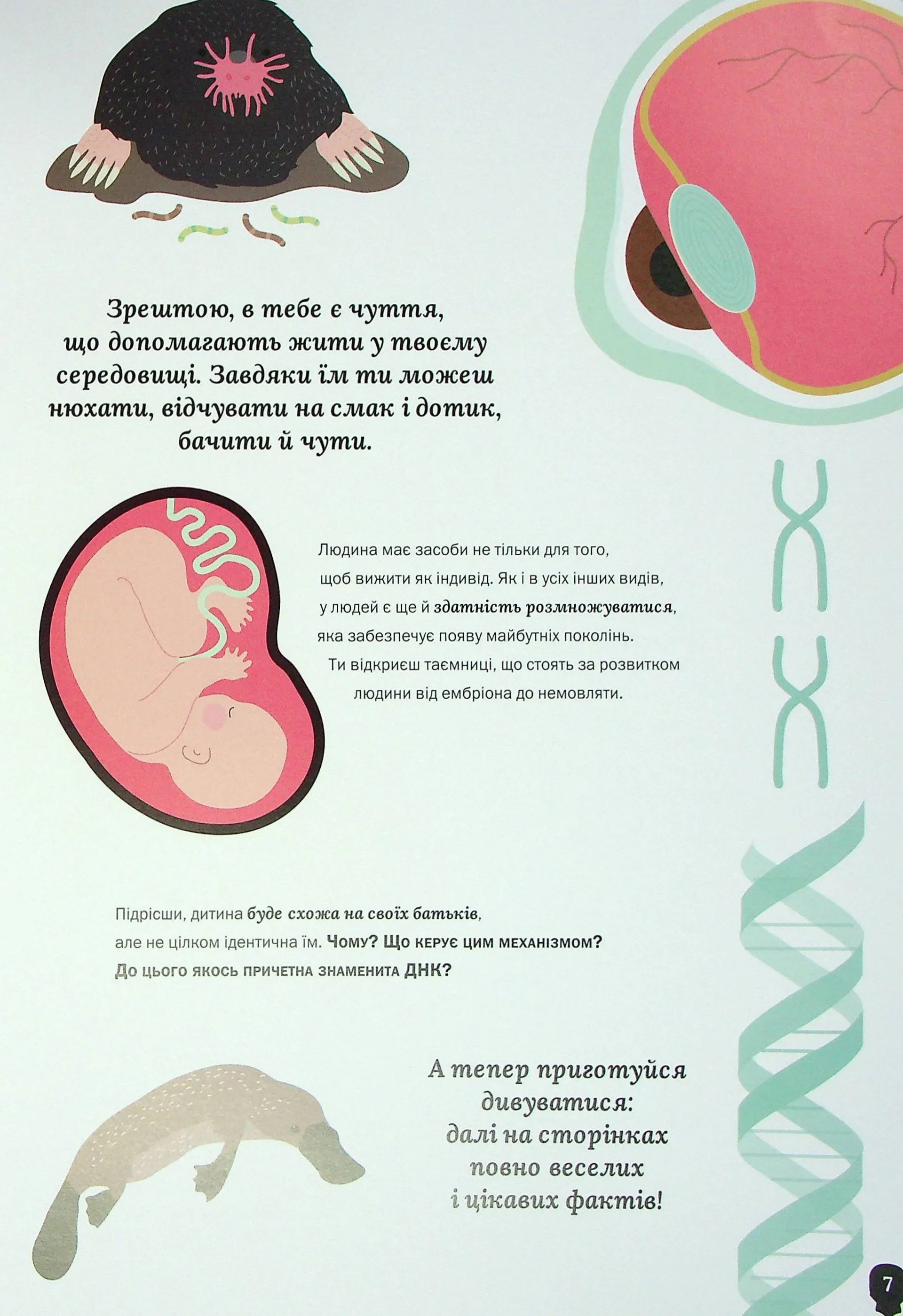 Тіло людини. Таємниці нашого тіла