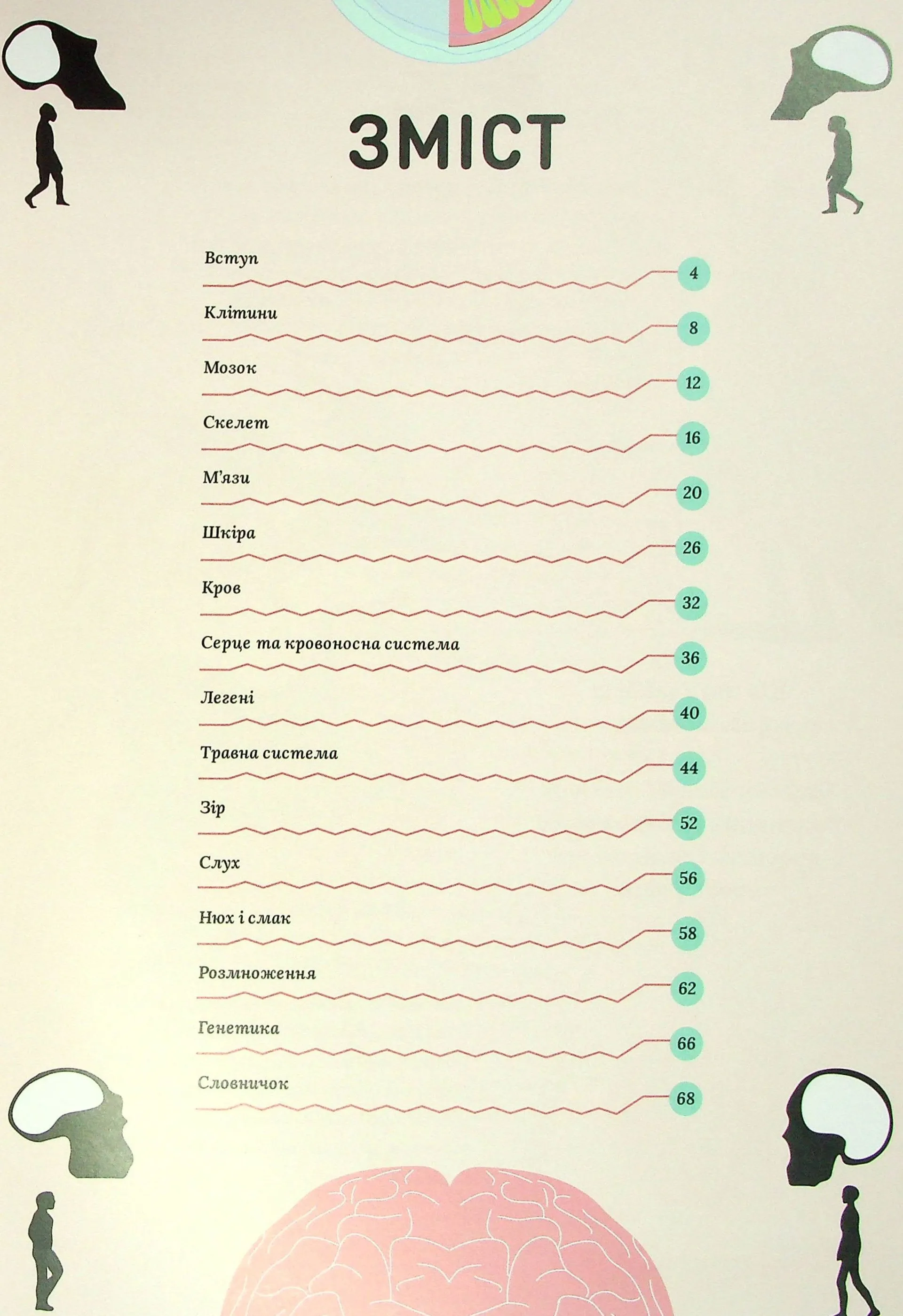 Тіло людини. Таємниці нашого тіла