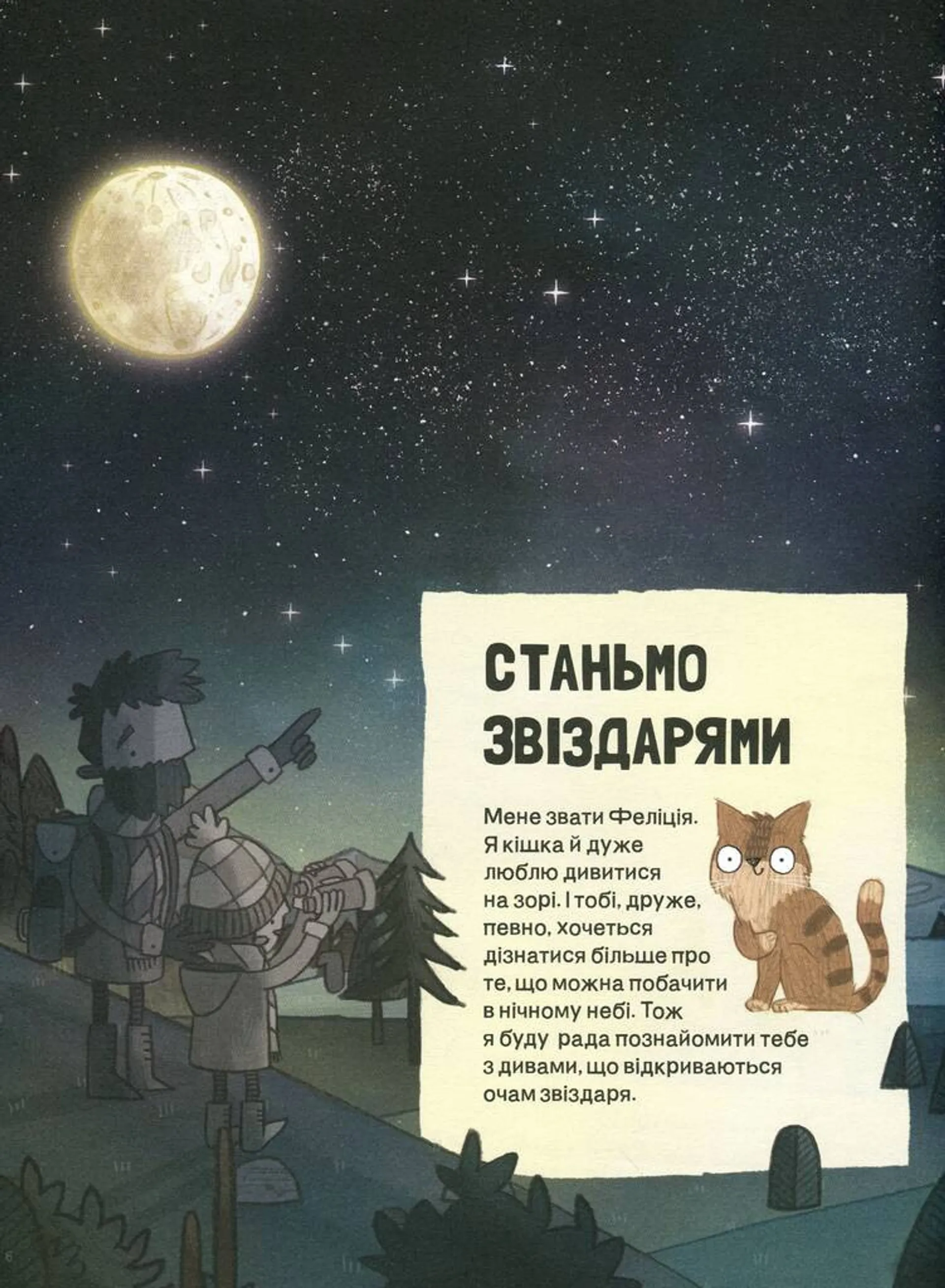 Котячий путівник нічним небом