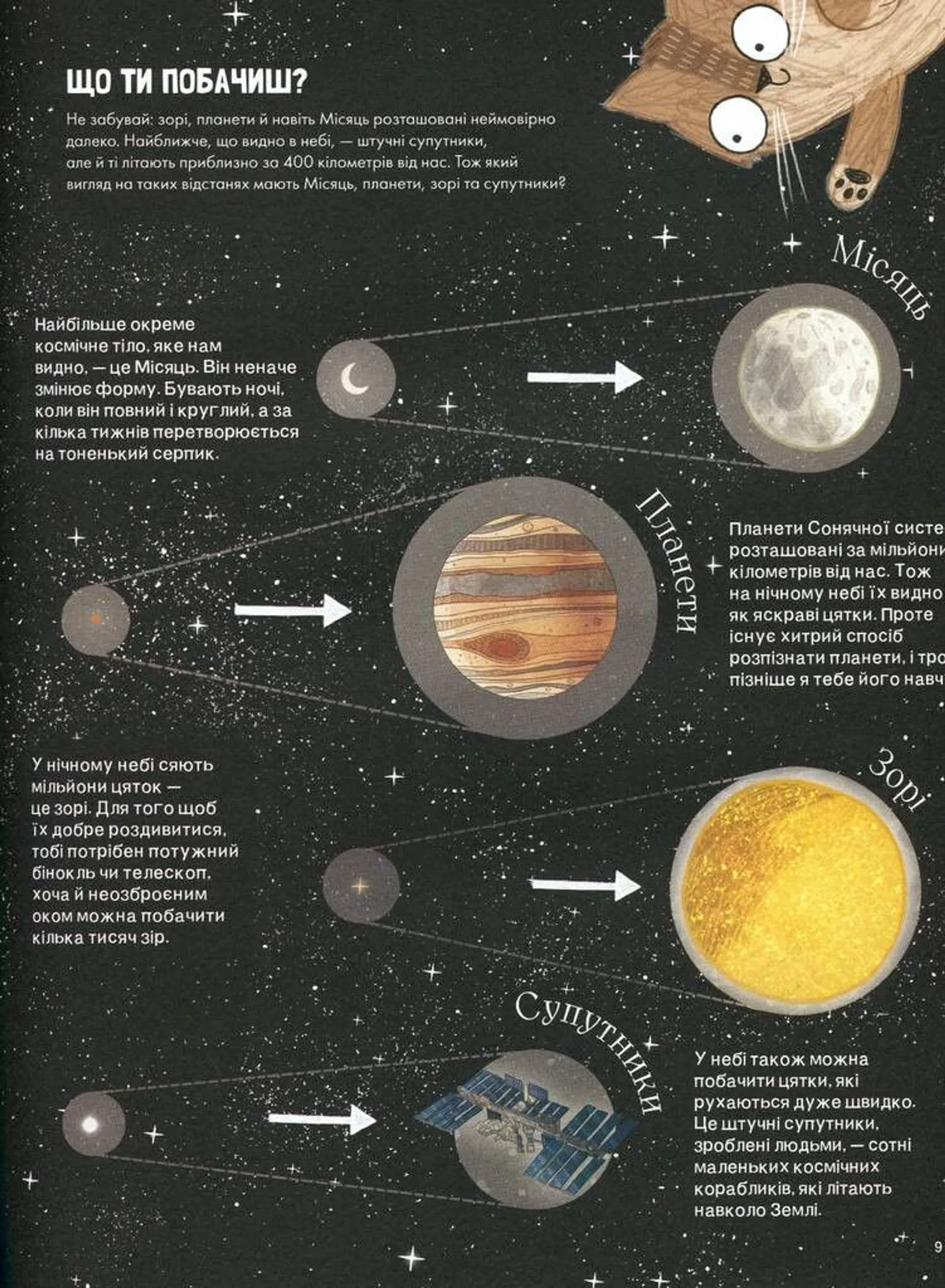 Котячий путівник нічним небом