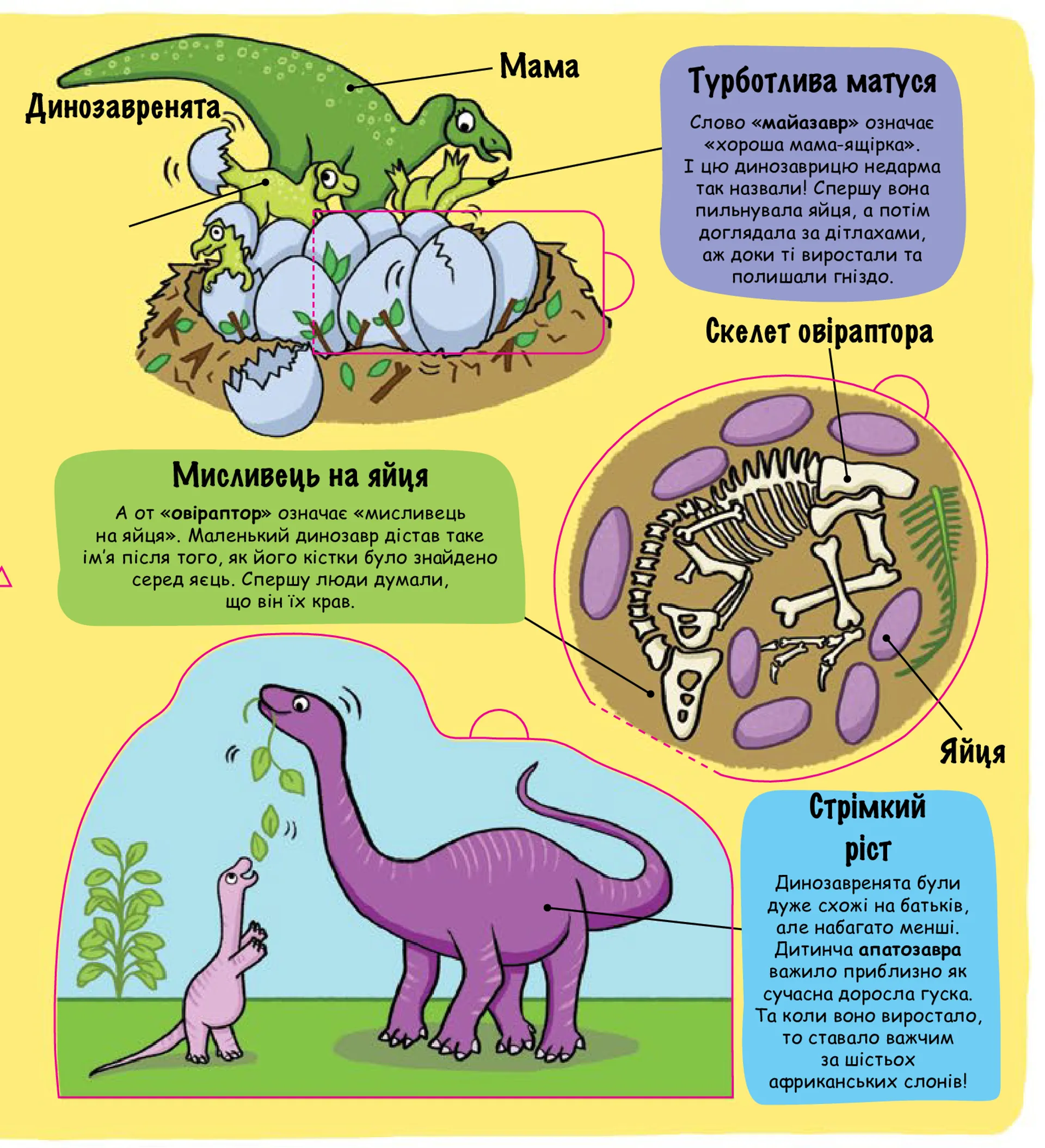 Маленькі дослідники. Динозаври
