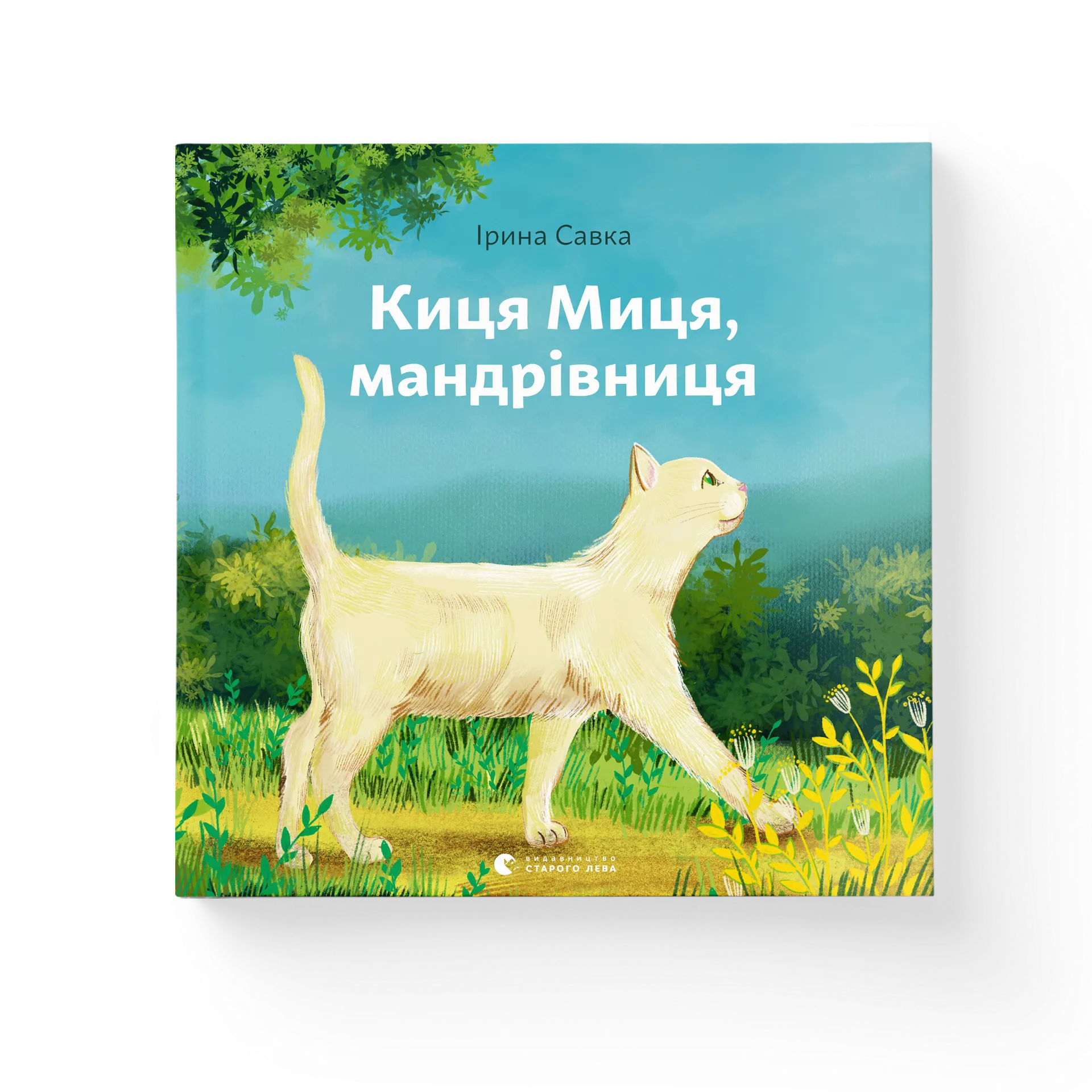 Киця Миця, мандрівниця