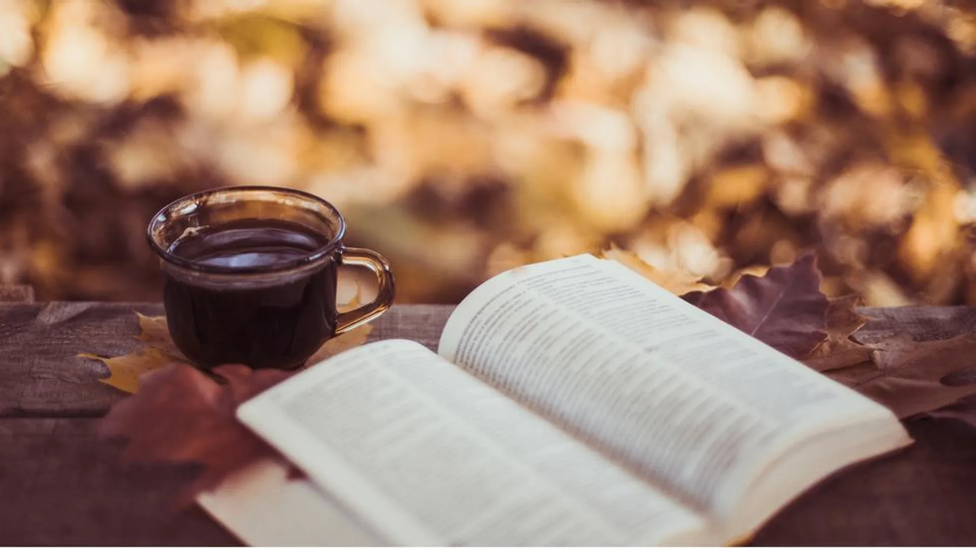 9 художніх книг, які не залишать осінній меланхолії жодного шансу!