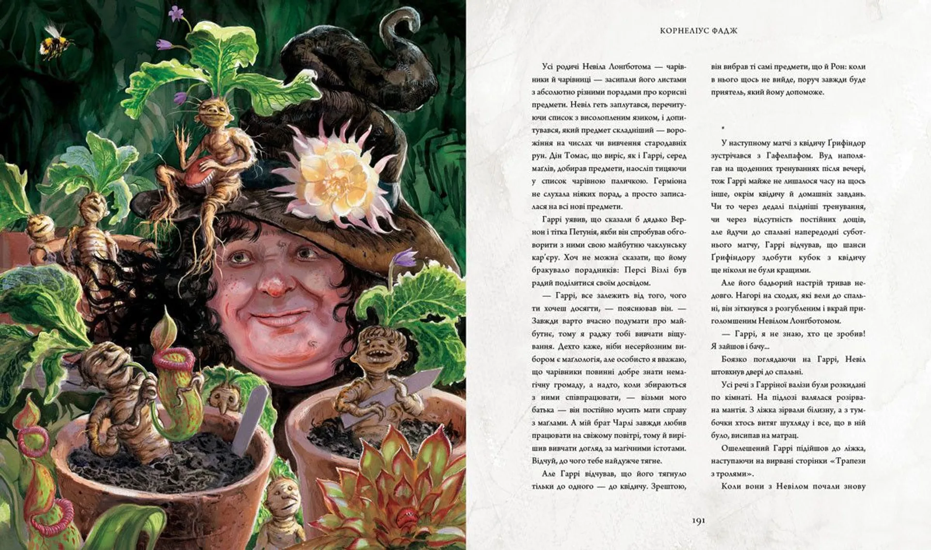 Гаррі Поттер і таємна кімната (ілюстрована)