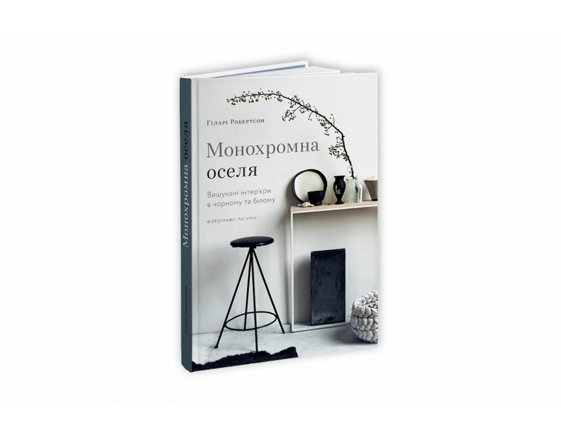Монохромна оселя. Вишукані інтер’єри в чорному та білому
