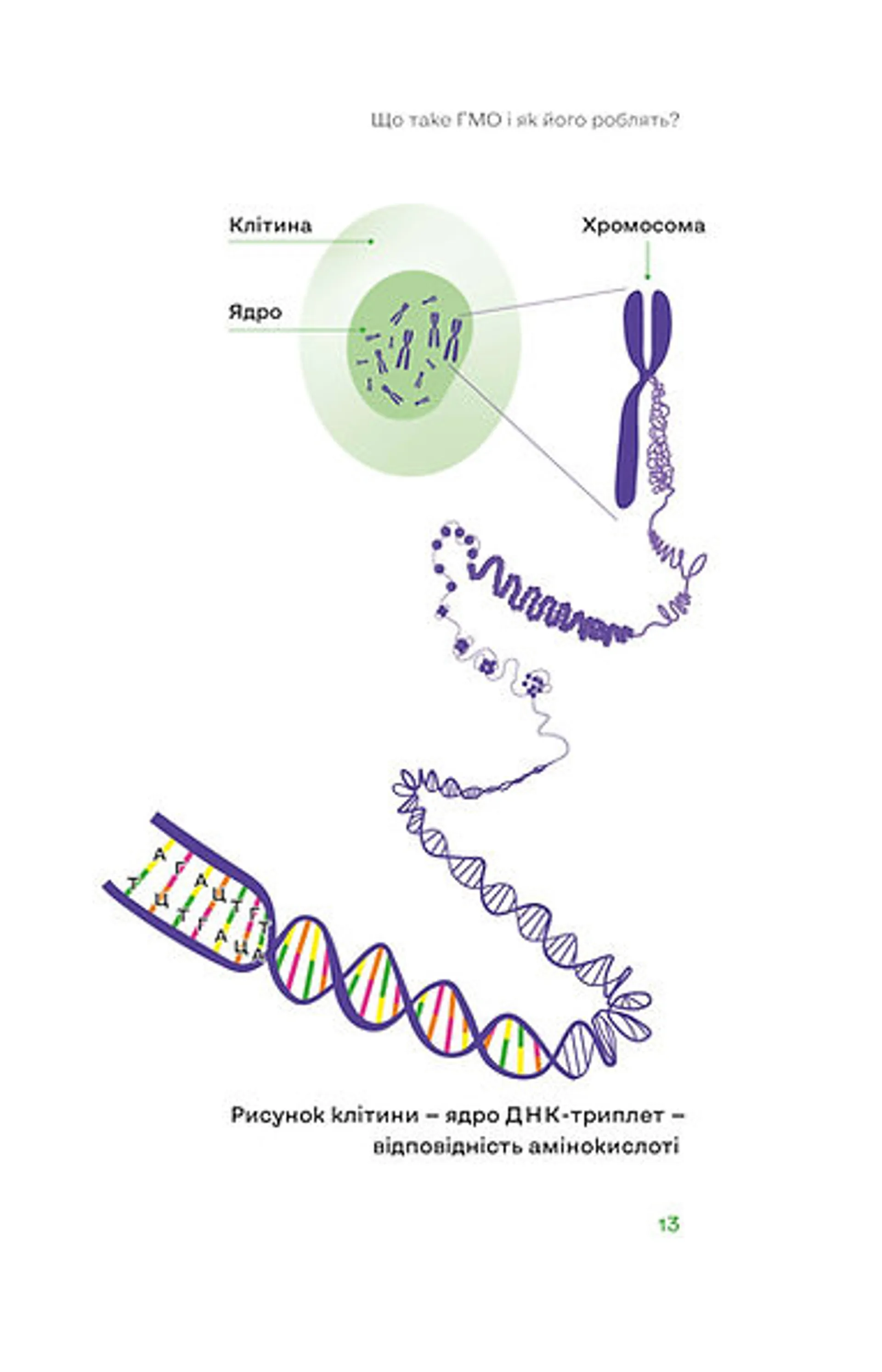Без ГМО. Правда і страшилки про генну інженерію
