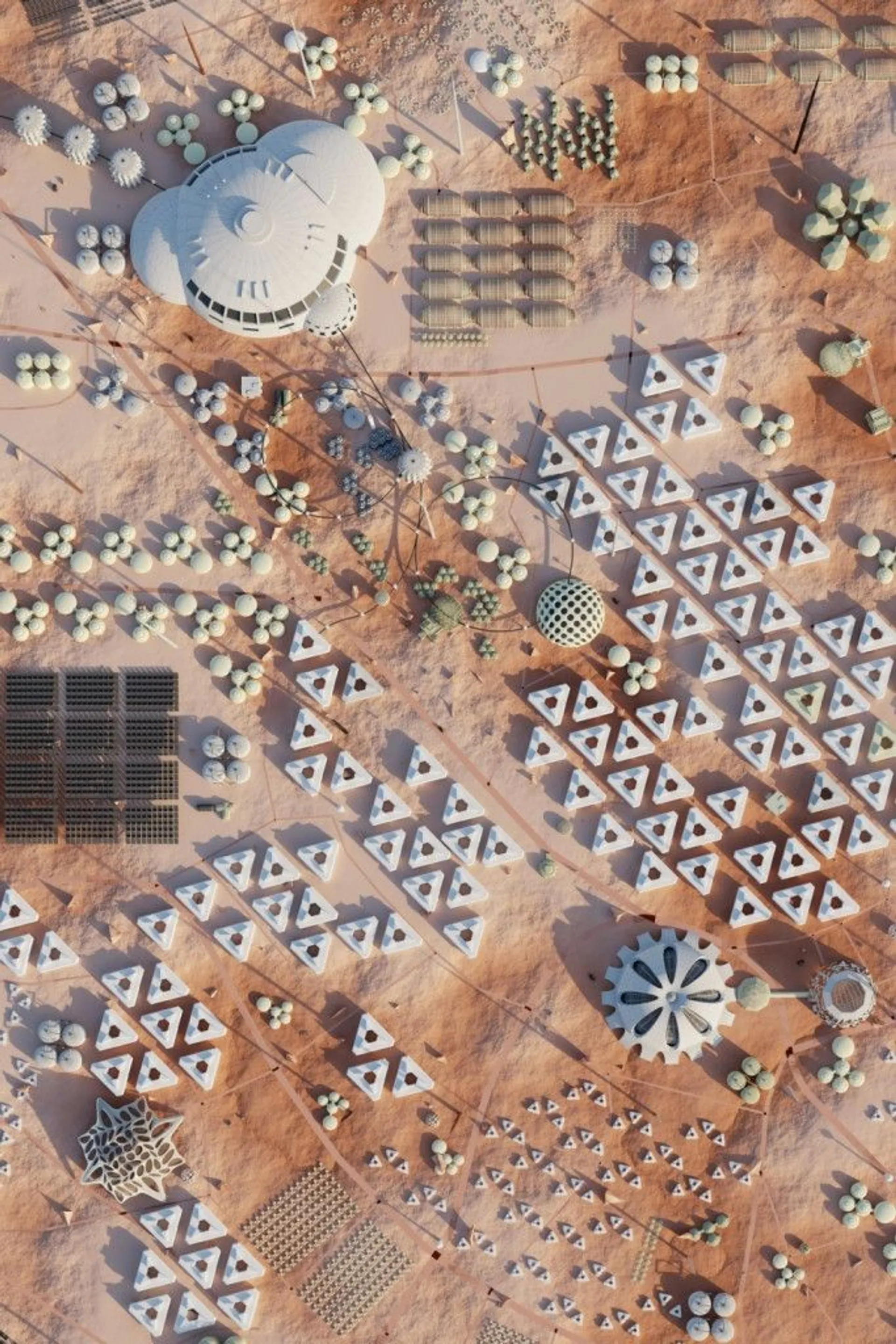 Нові Темні Віки. Колонія