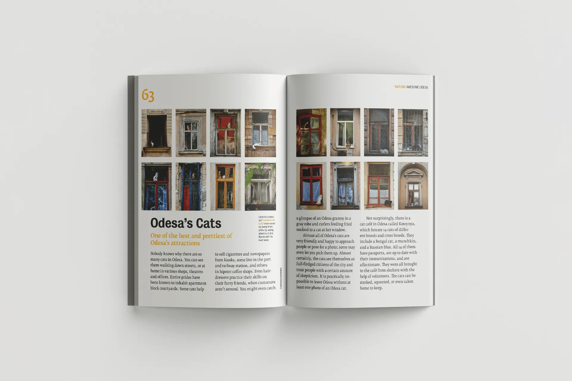 Awesome Odesa (Дивовижна Одеса)