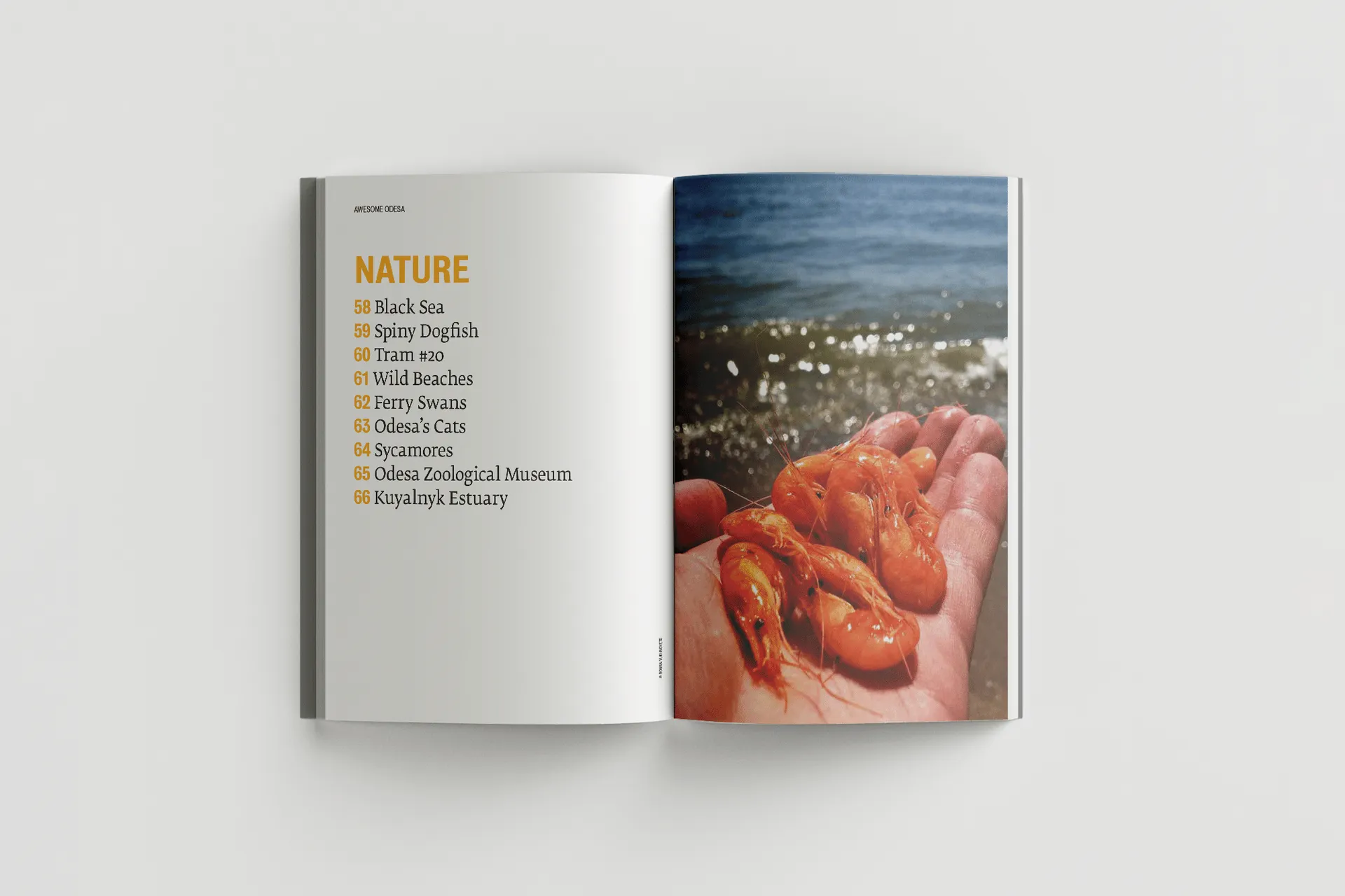 Awesome Odesa (Дивовижна Одеса)