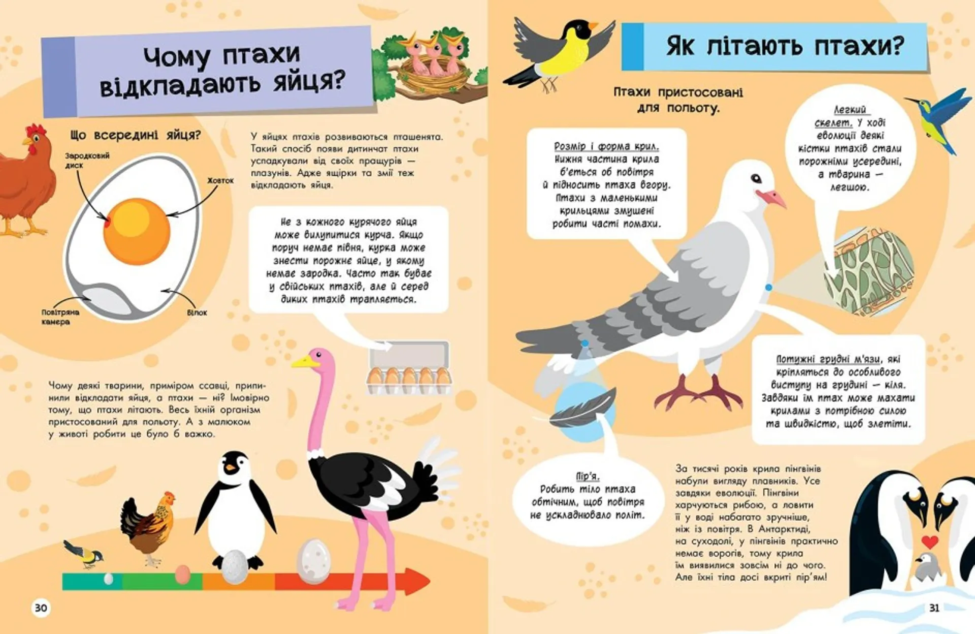 Велика енциклопедія для чомусика