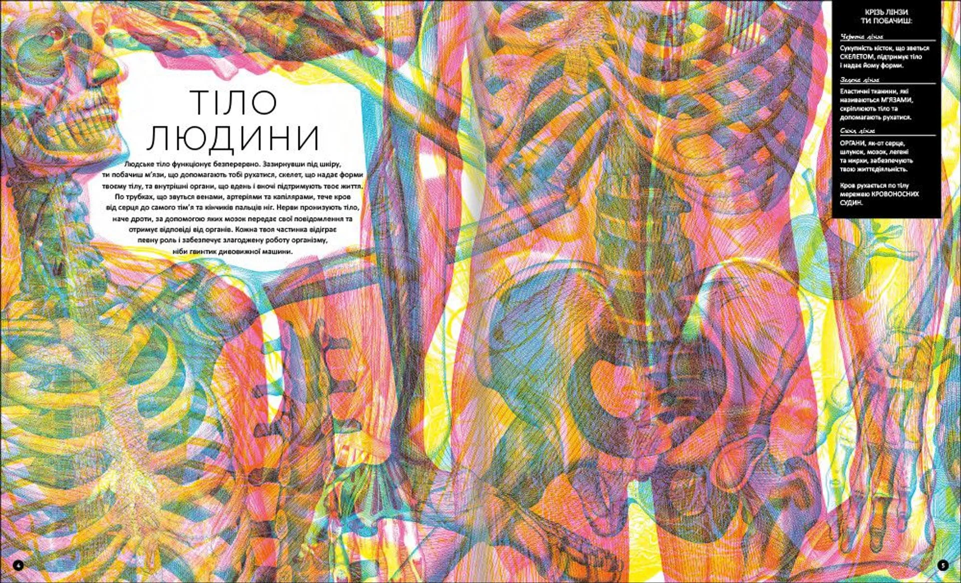 Прихований світ людського тіла