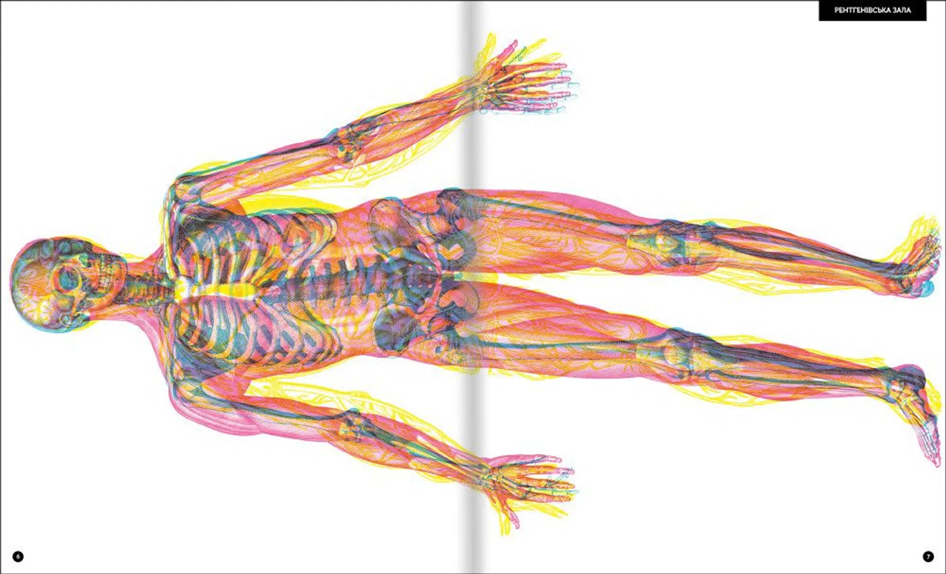 Прихований світ людського тіла