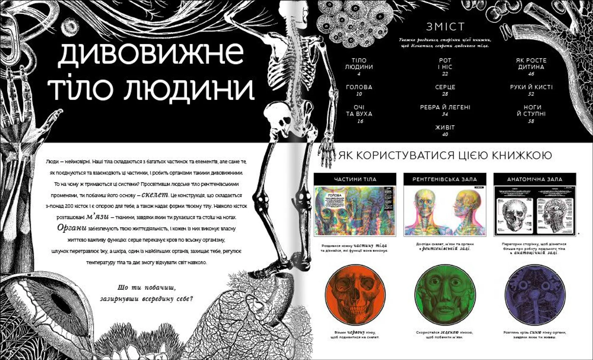 Прихований світ людського тіла