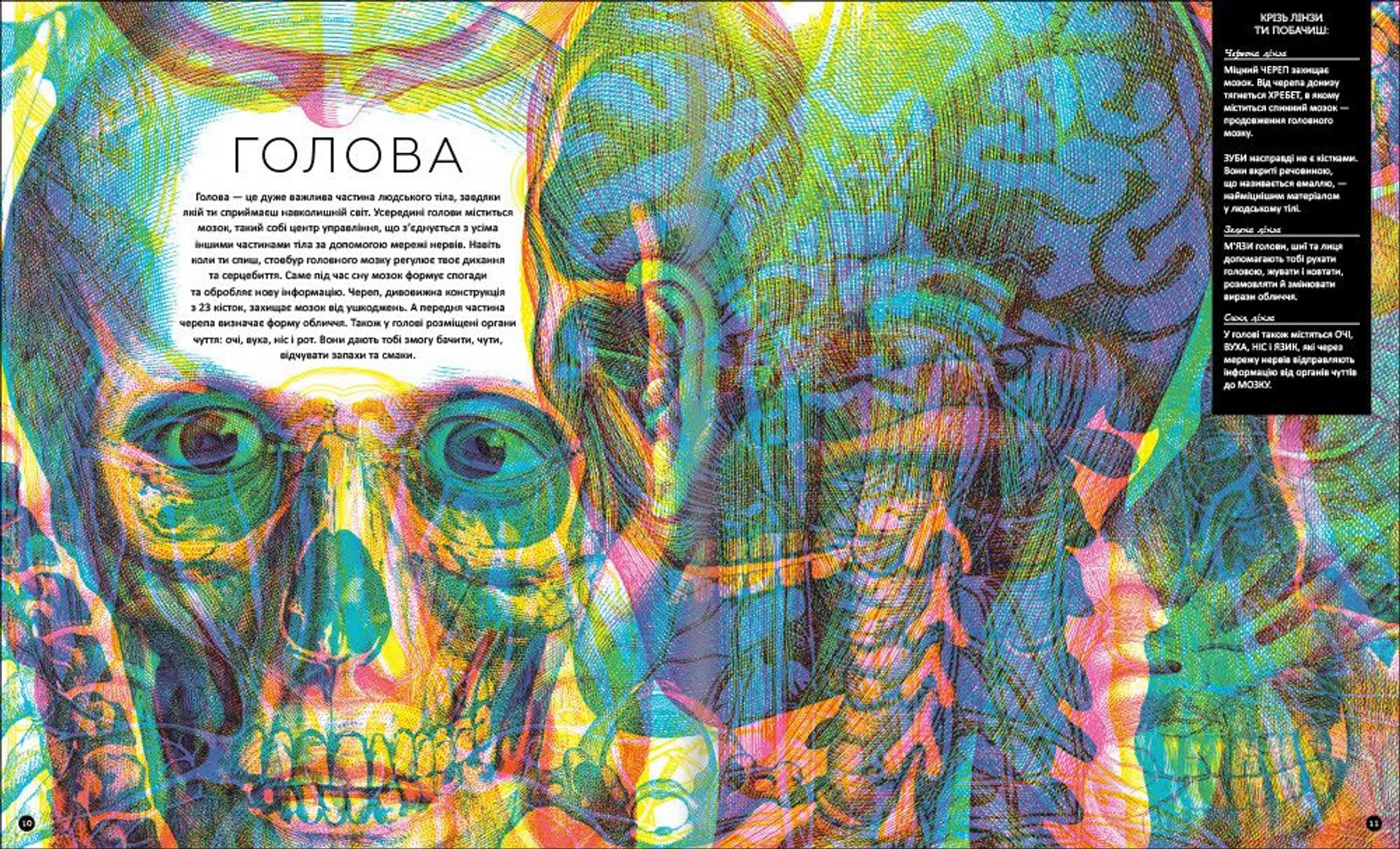 Прихований світ людського тіла