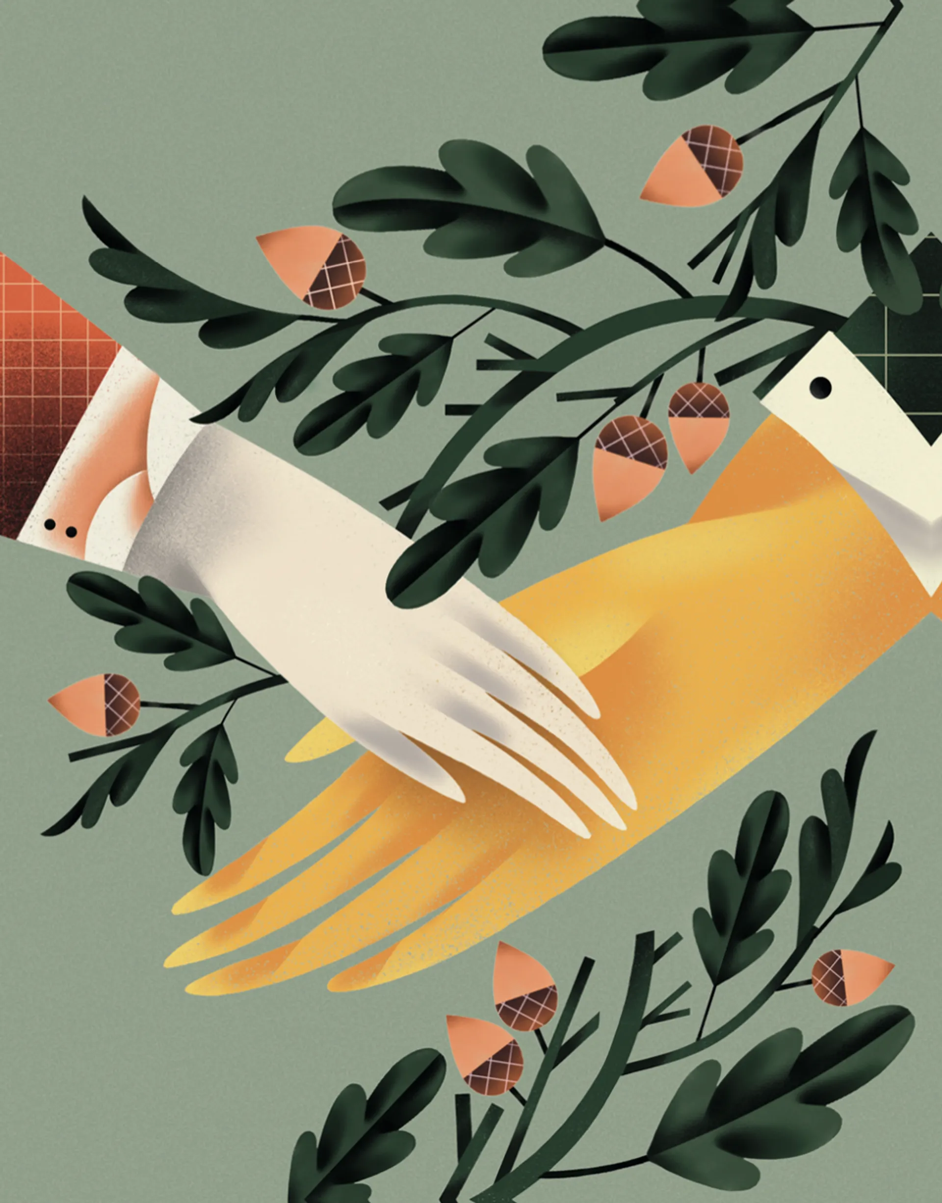 Дубочок з війни