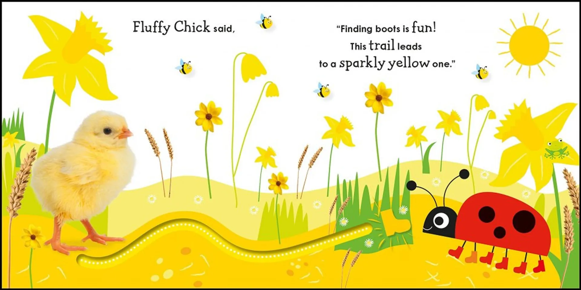 Colours with a Ladybird: Follow the Trails and Learn Colours