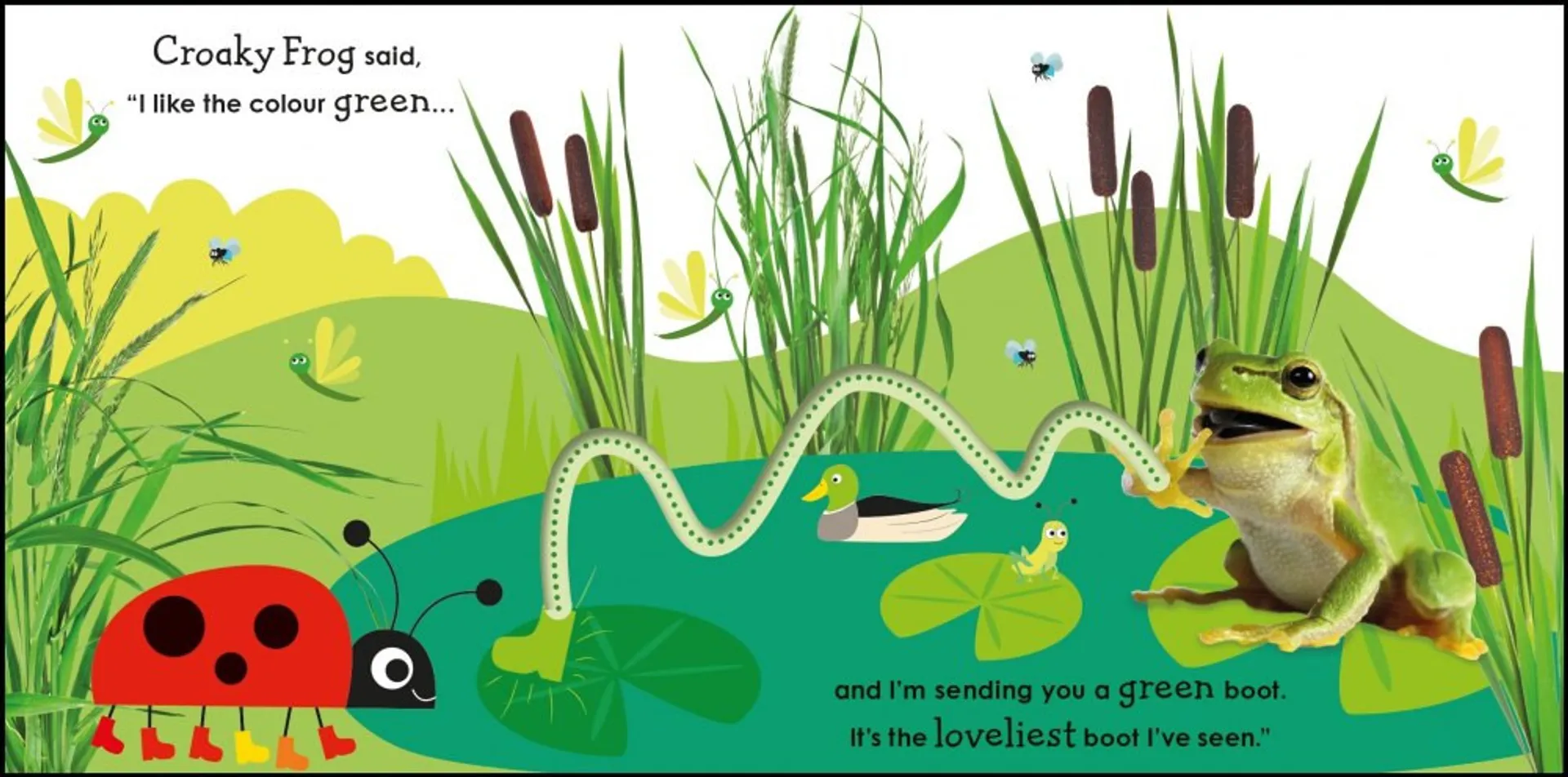 Colours with a Ladybird: Follow the Trails and Learn Colours