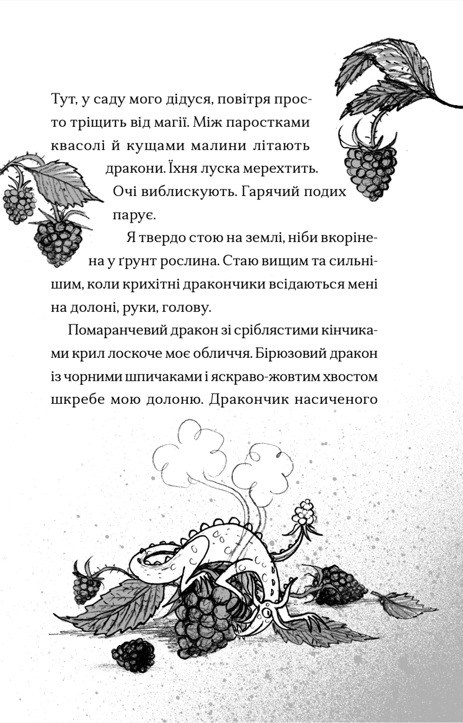 Хлопчик, який співав з драконами. Книга 5