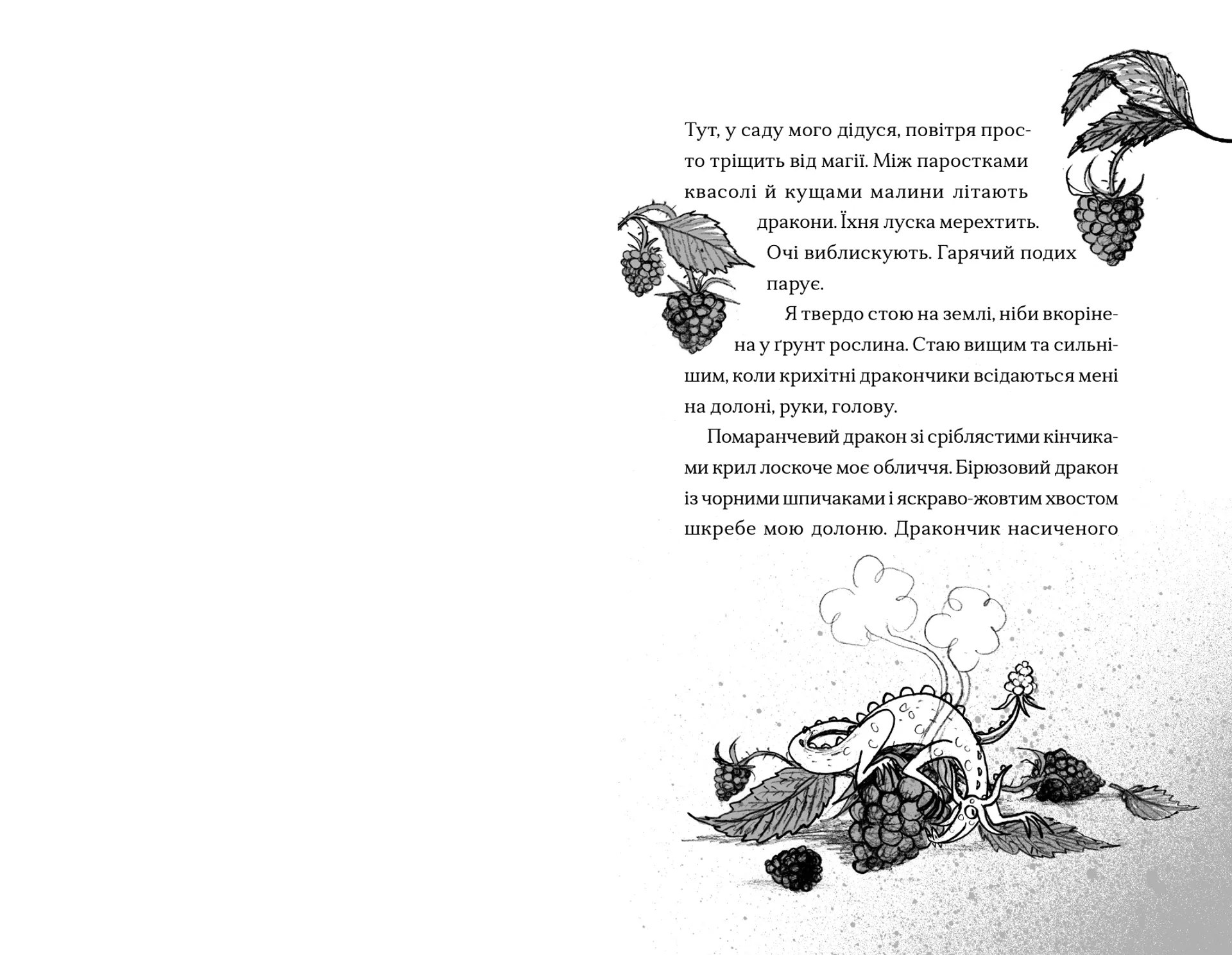 Хлопчик, який співав з драконами. Книга 5