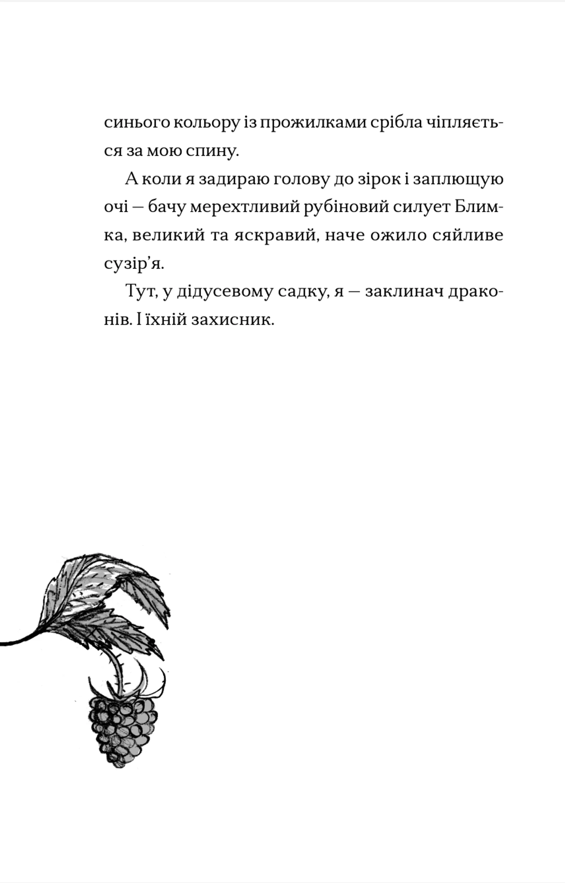 Хлопчик, який співав з драконами. Книга 5