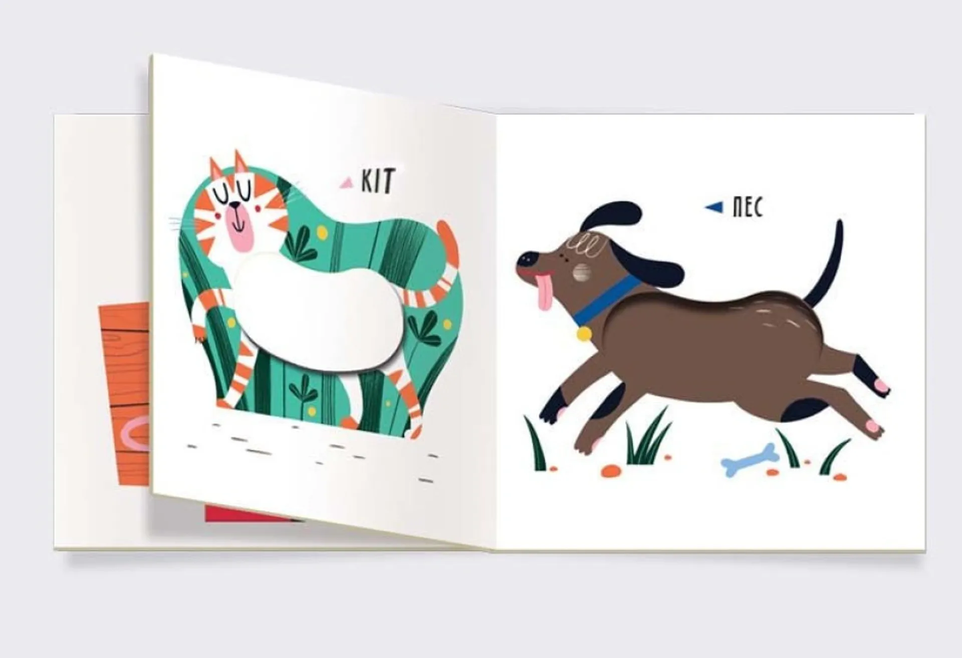 Ферма. Вівця чи курка?