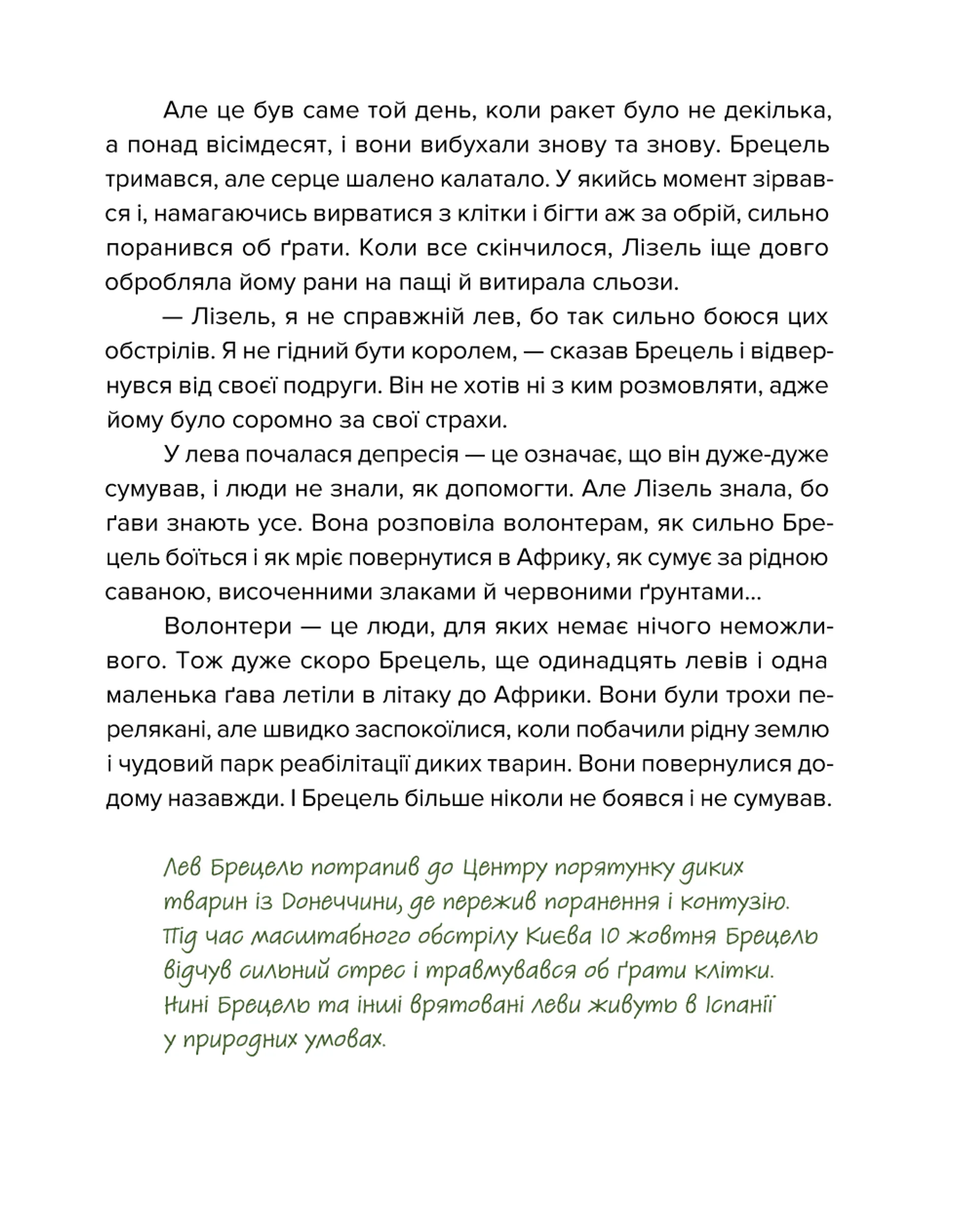 Єнот Ракета та інші герої