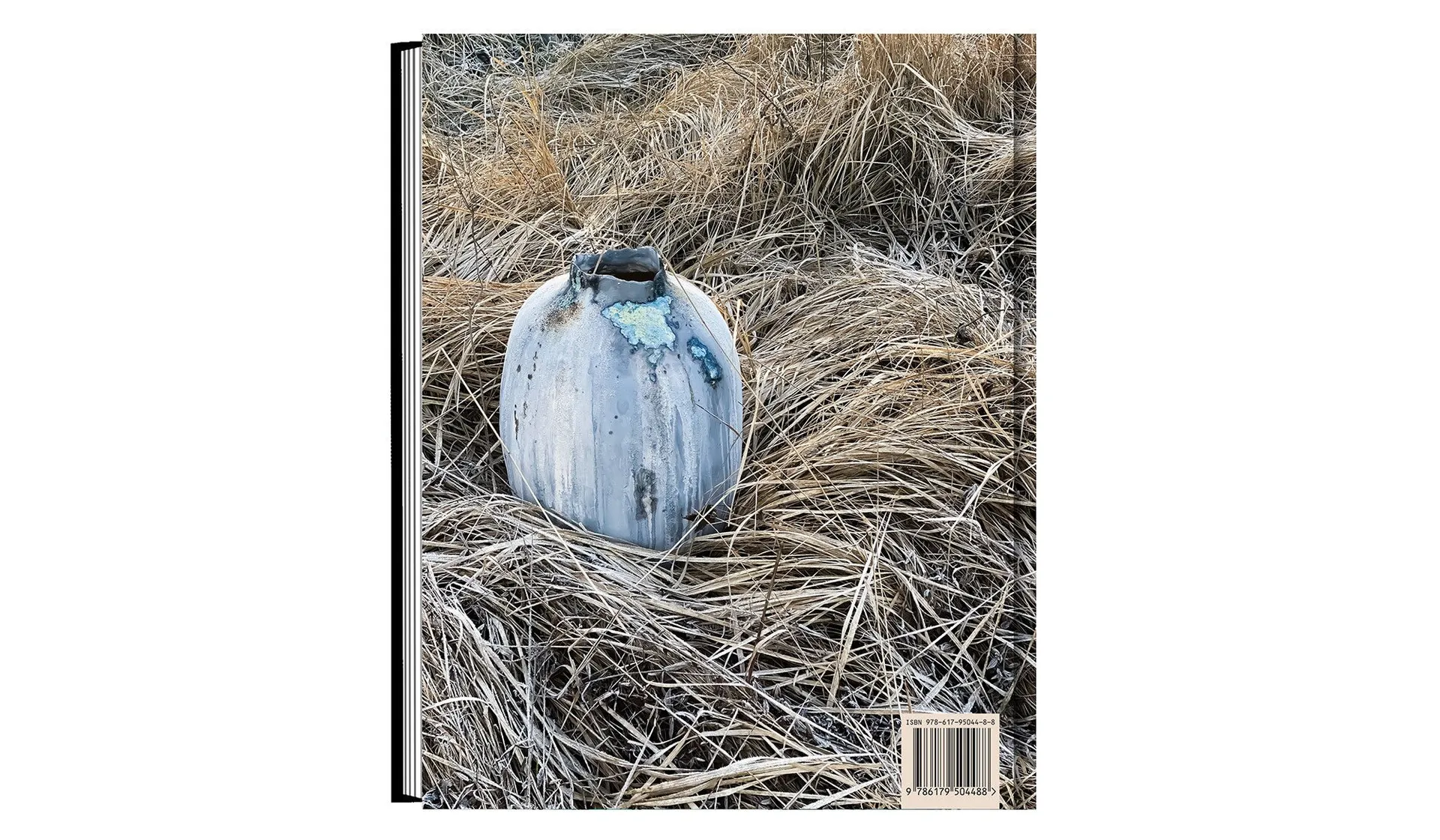 Contemporary Ukrainian Crafts. Традиційні ремесла у сучасному виконанні