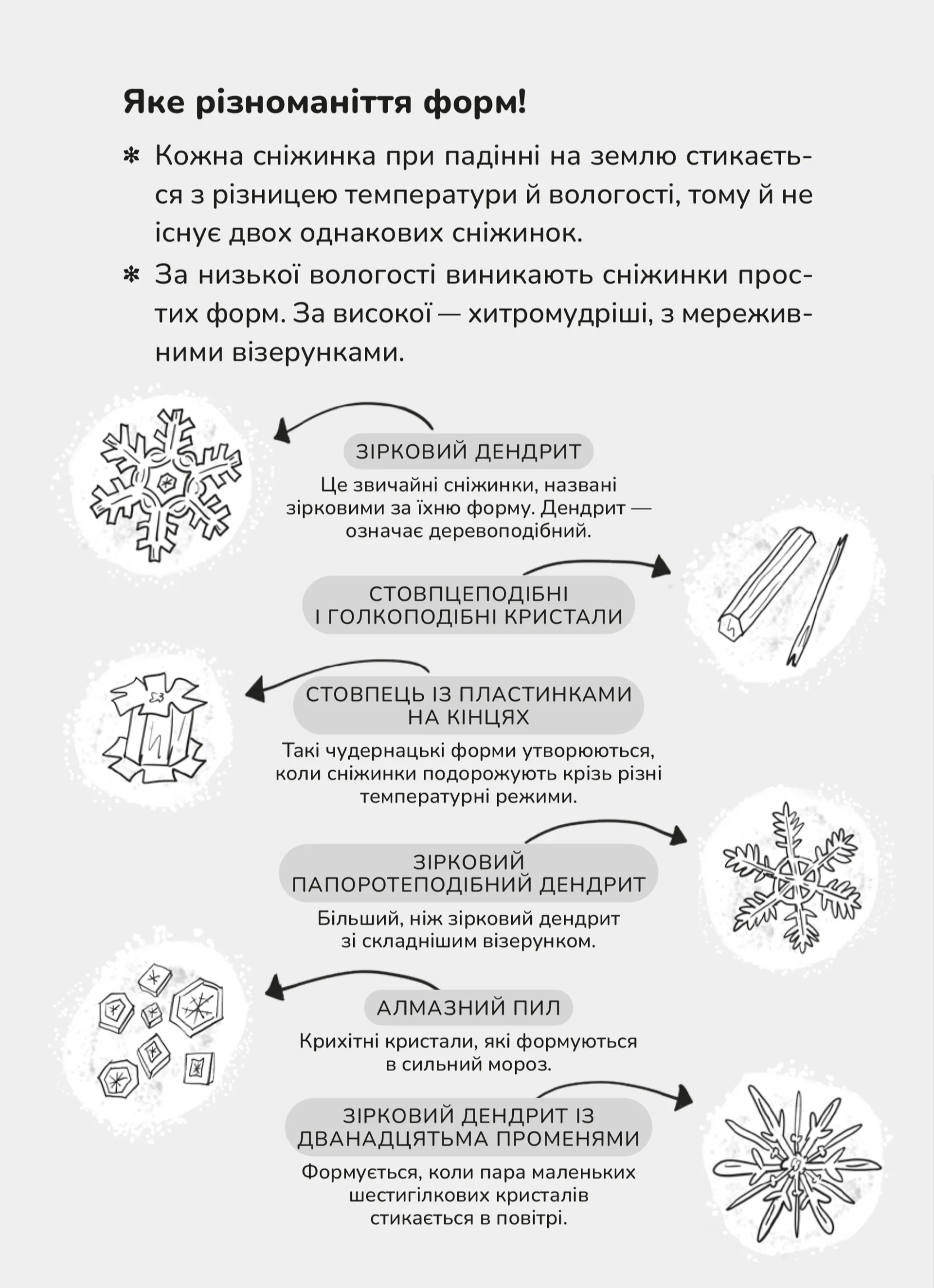 Зік — погодний ґік. Порятунок ящірки від хуртовини