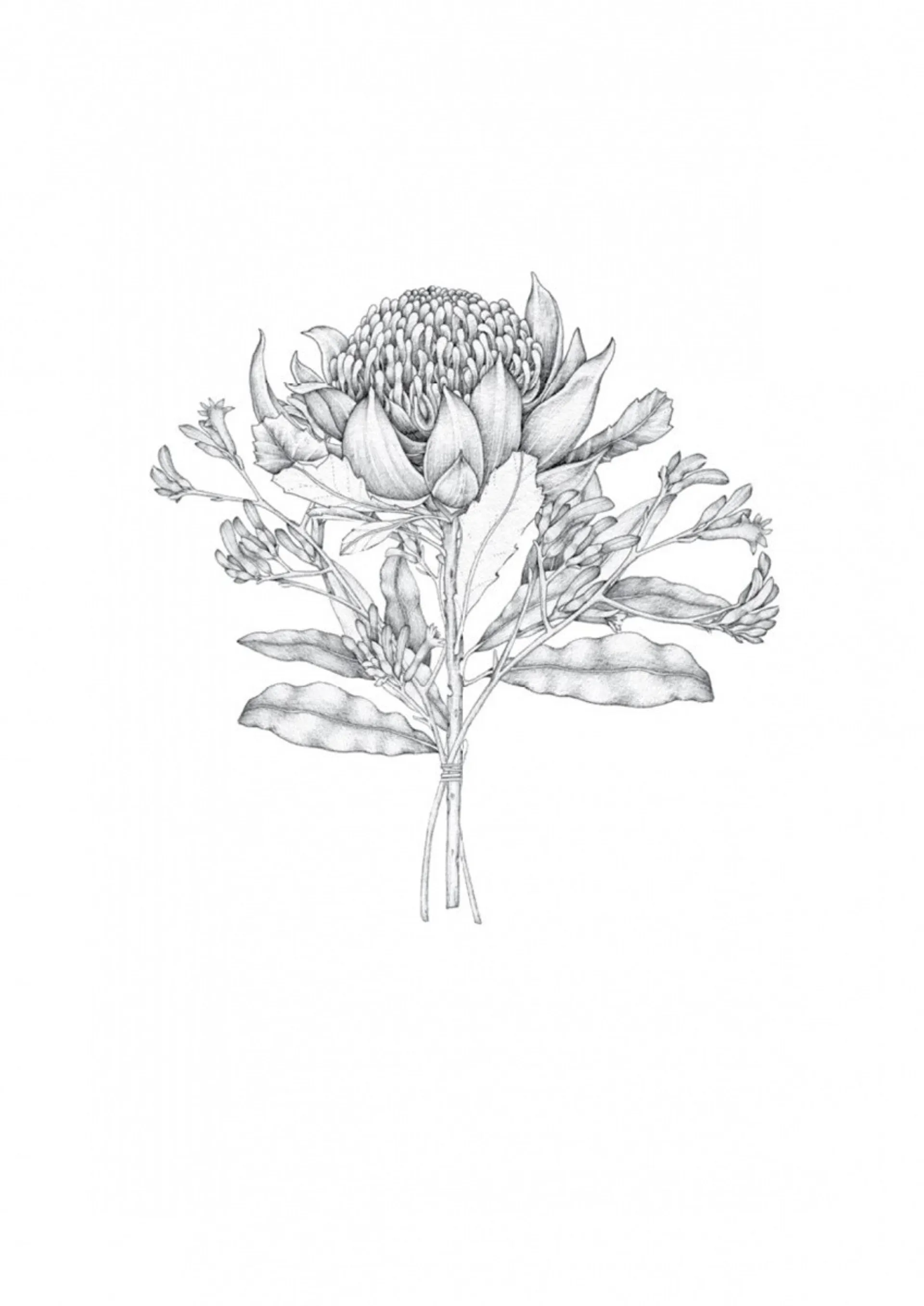 Втрачені квіти Еліс Гарт