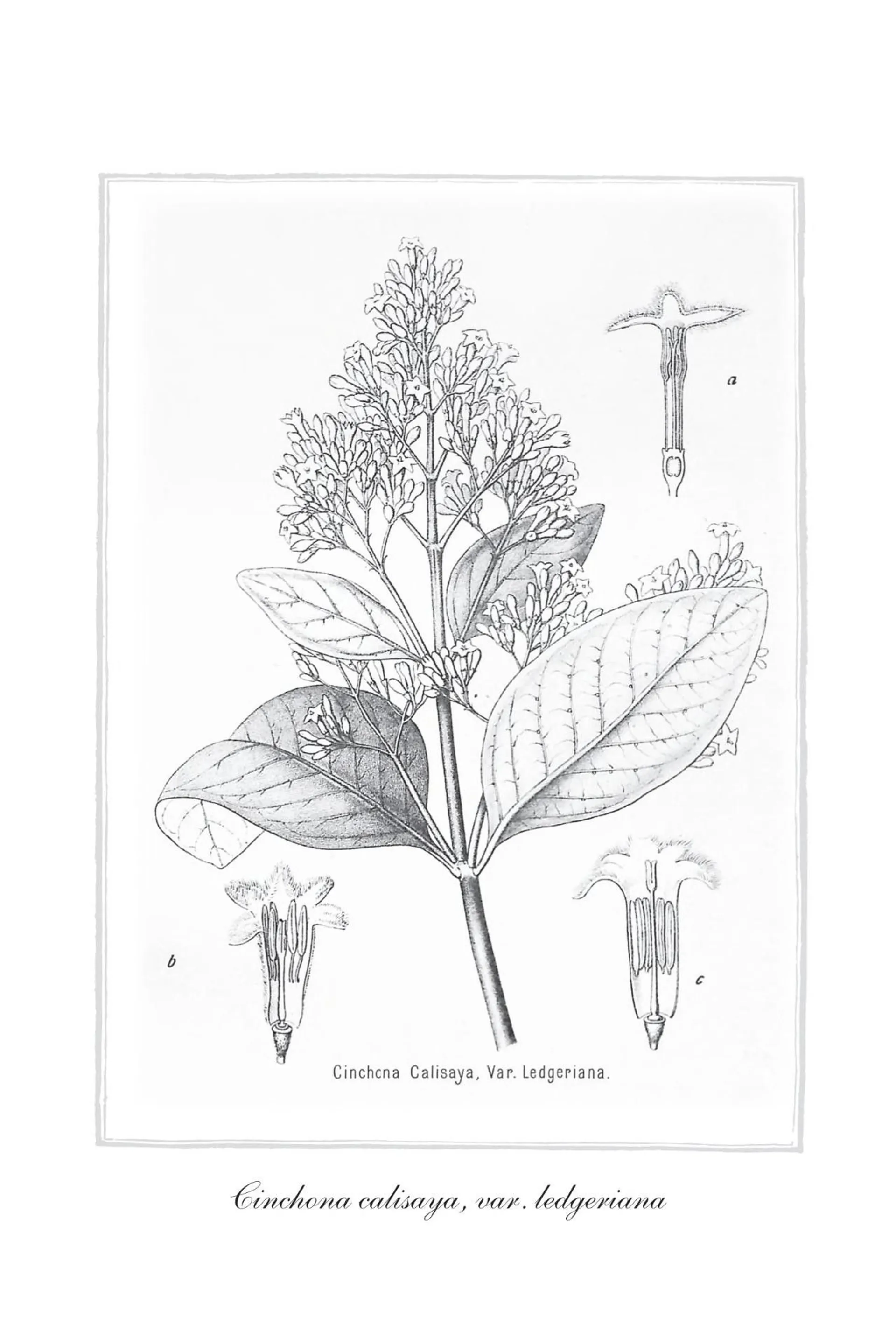 The Signature of All Things