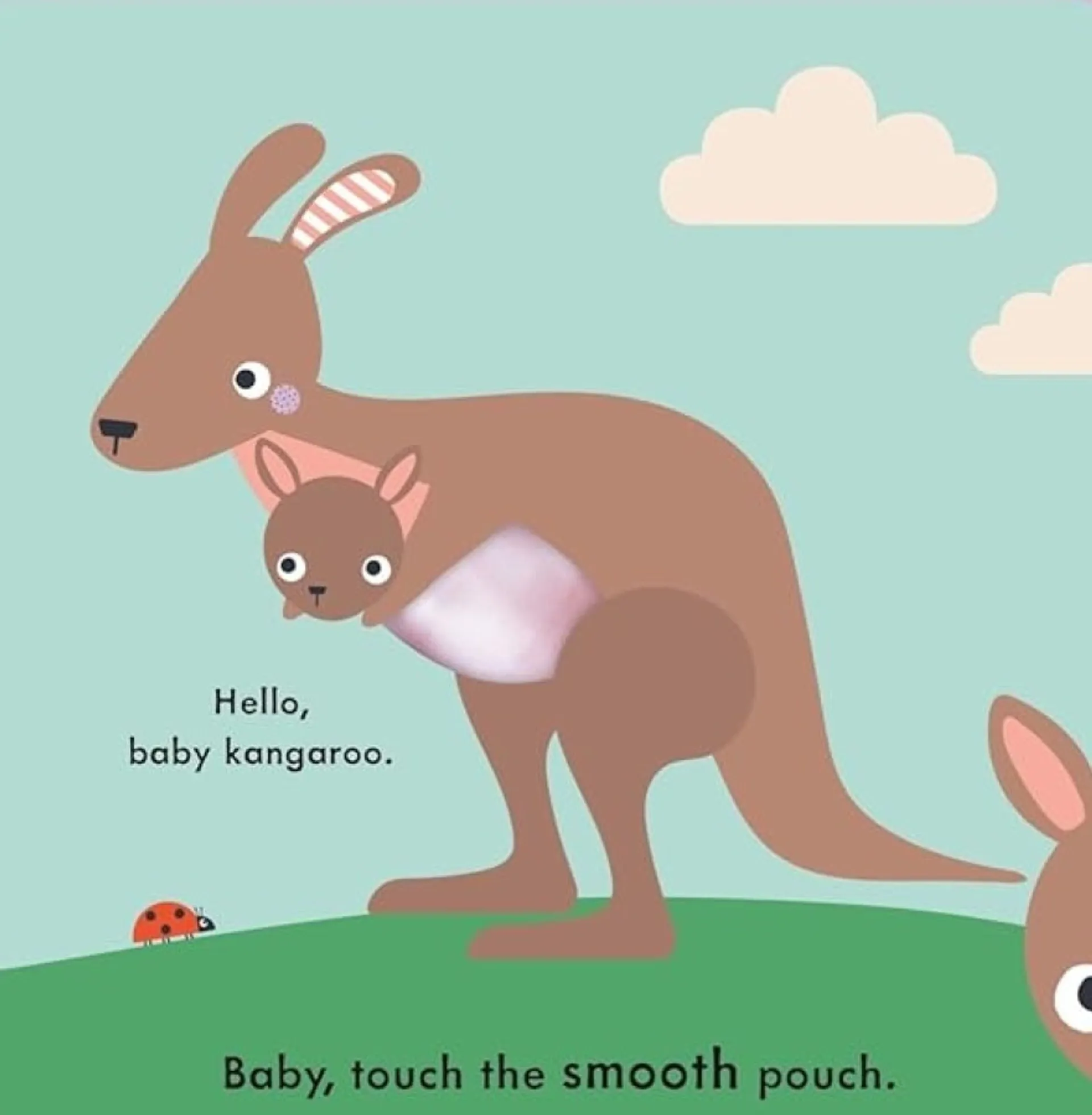 Baby Touch: Baby Animals