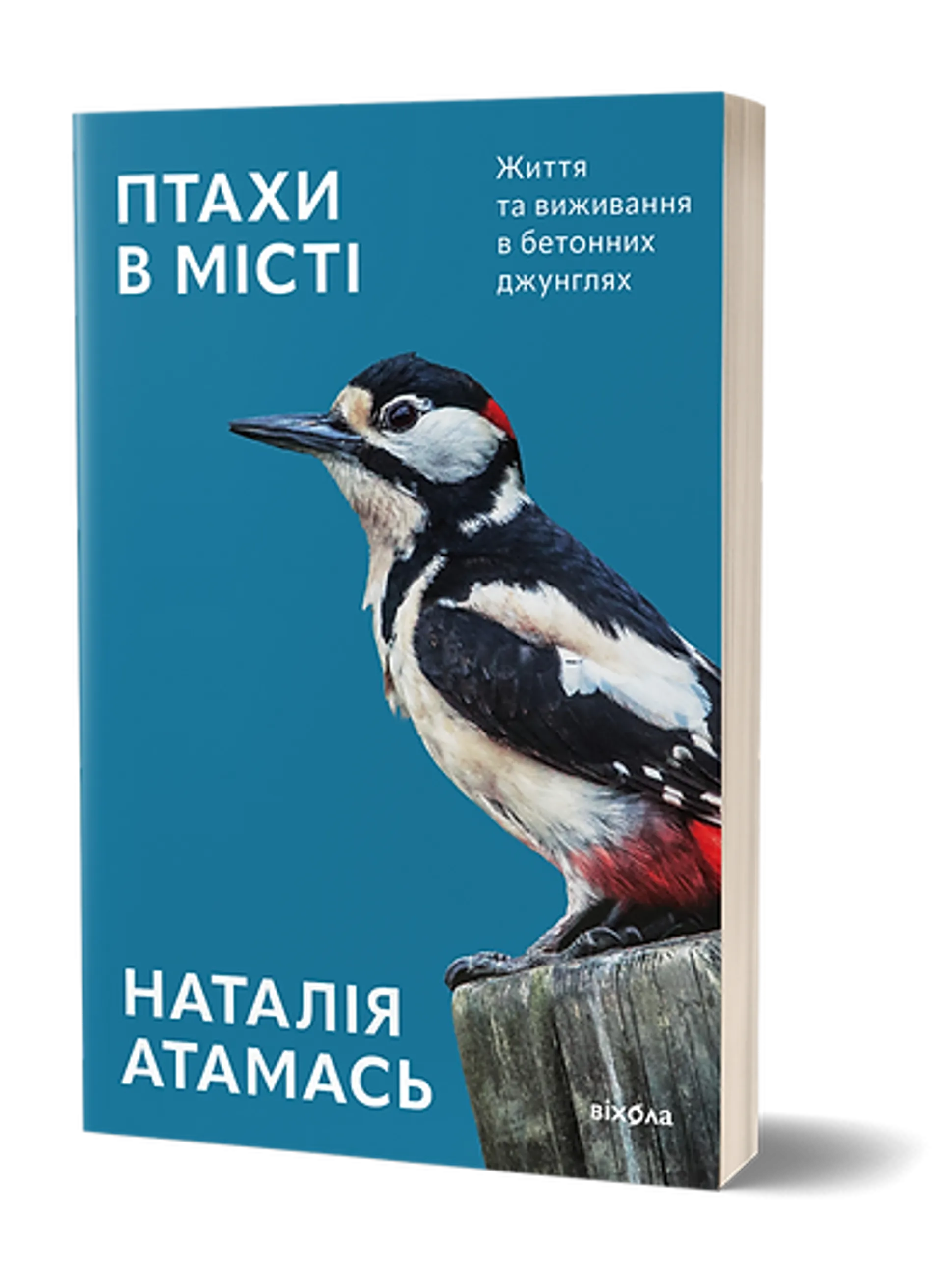 Птахи в місті. Життя та виживання в бетонних джунглях (оновлене)