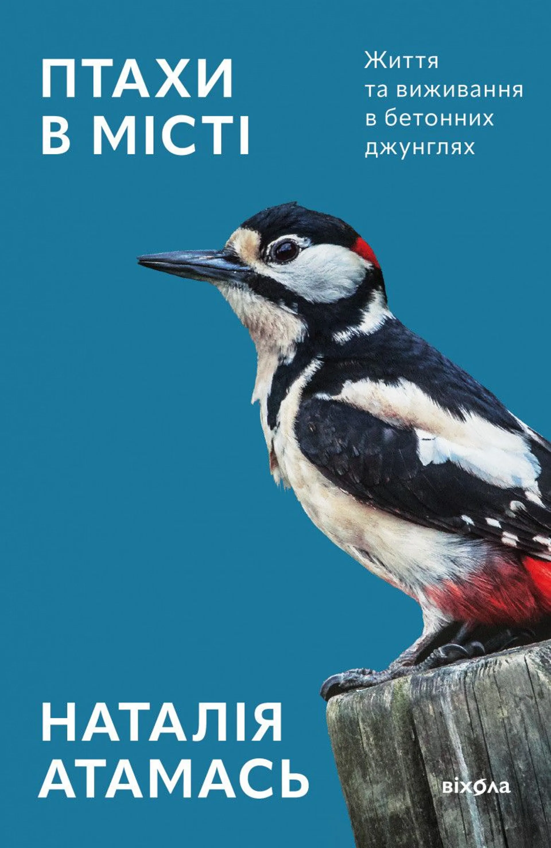 Птахи в місті. Життя та виживання в бетонних джунглях (оновлене)
