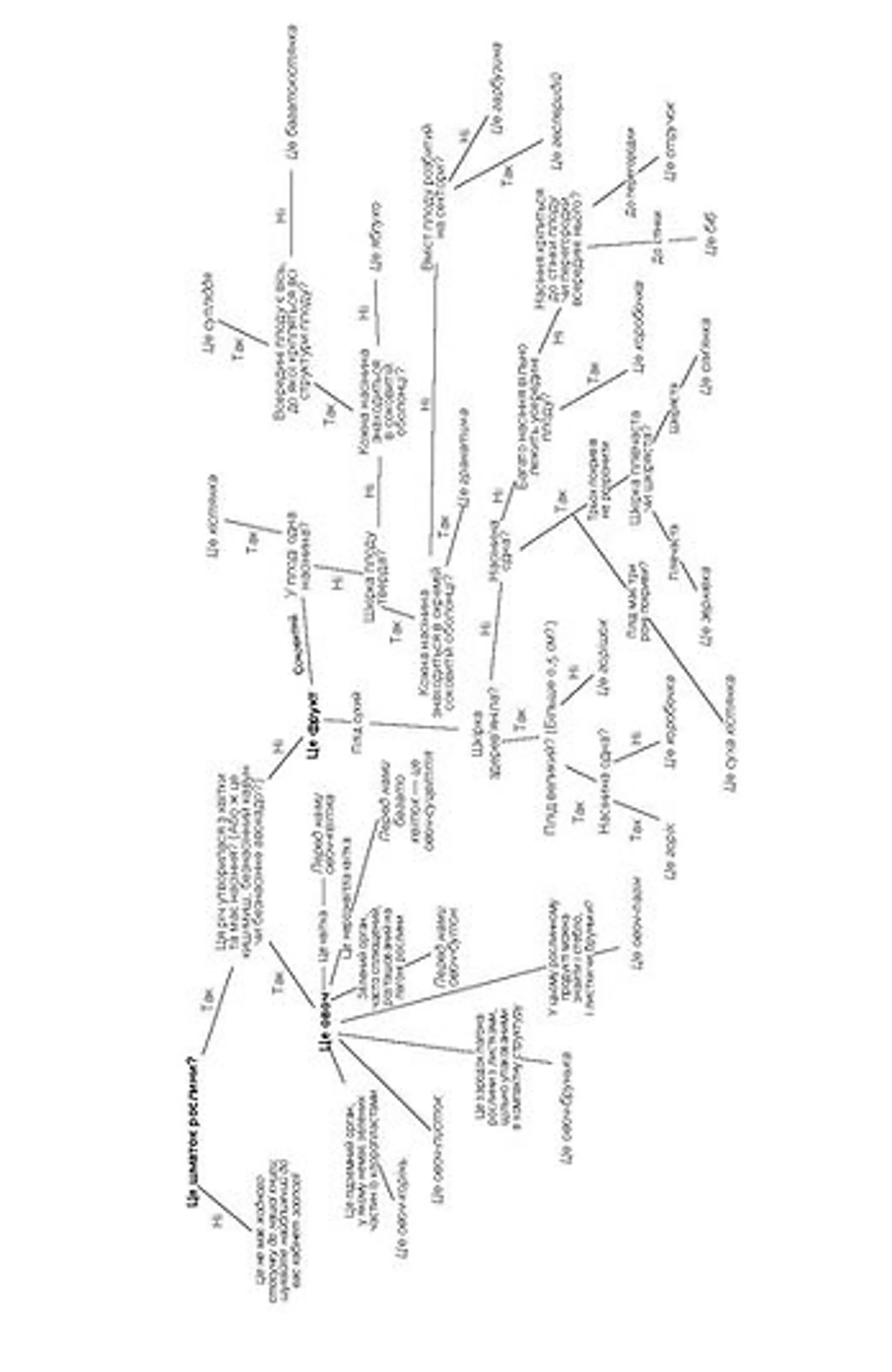 Фрукти проти овочів (оновлене)