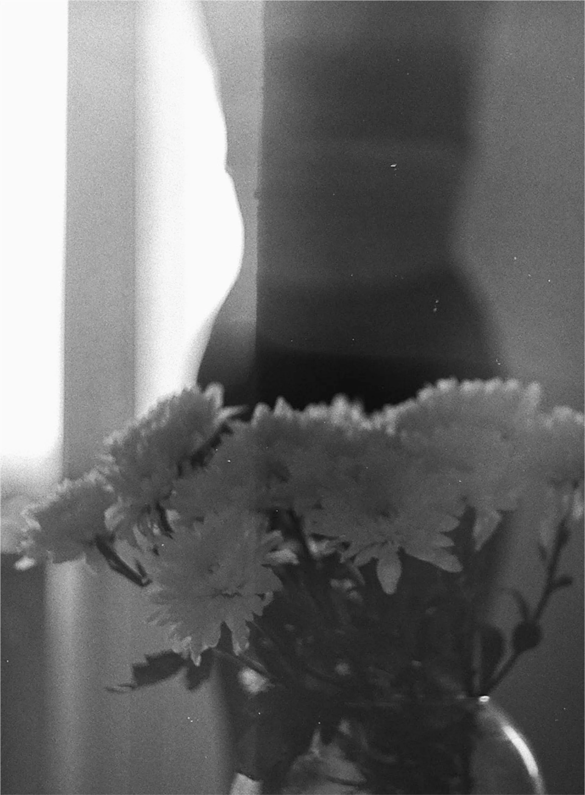 Політика пам’яті