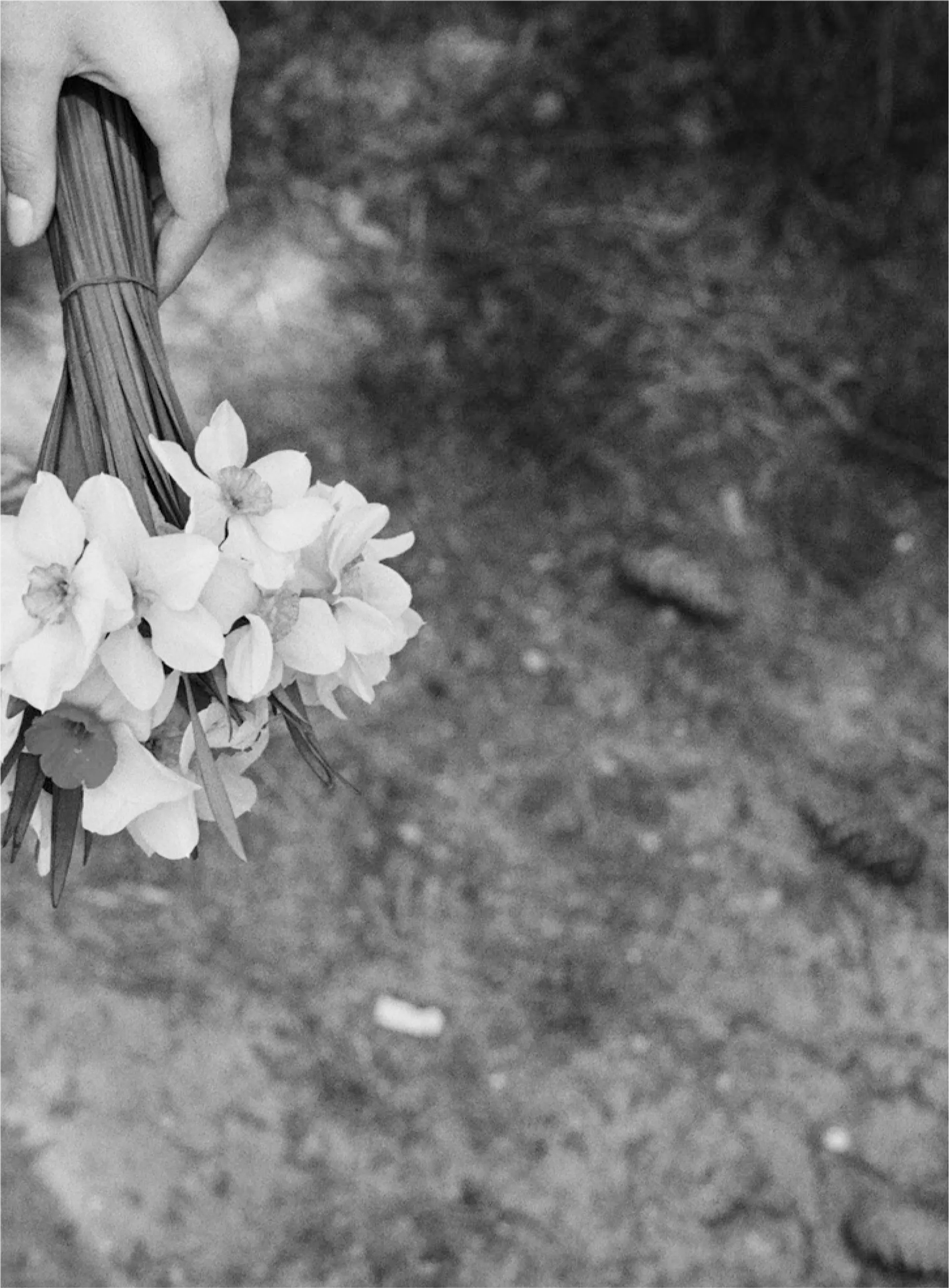 Політика пам’яті