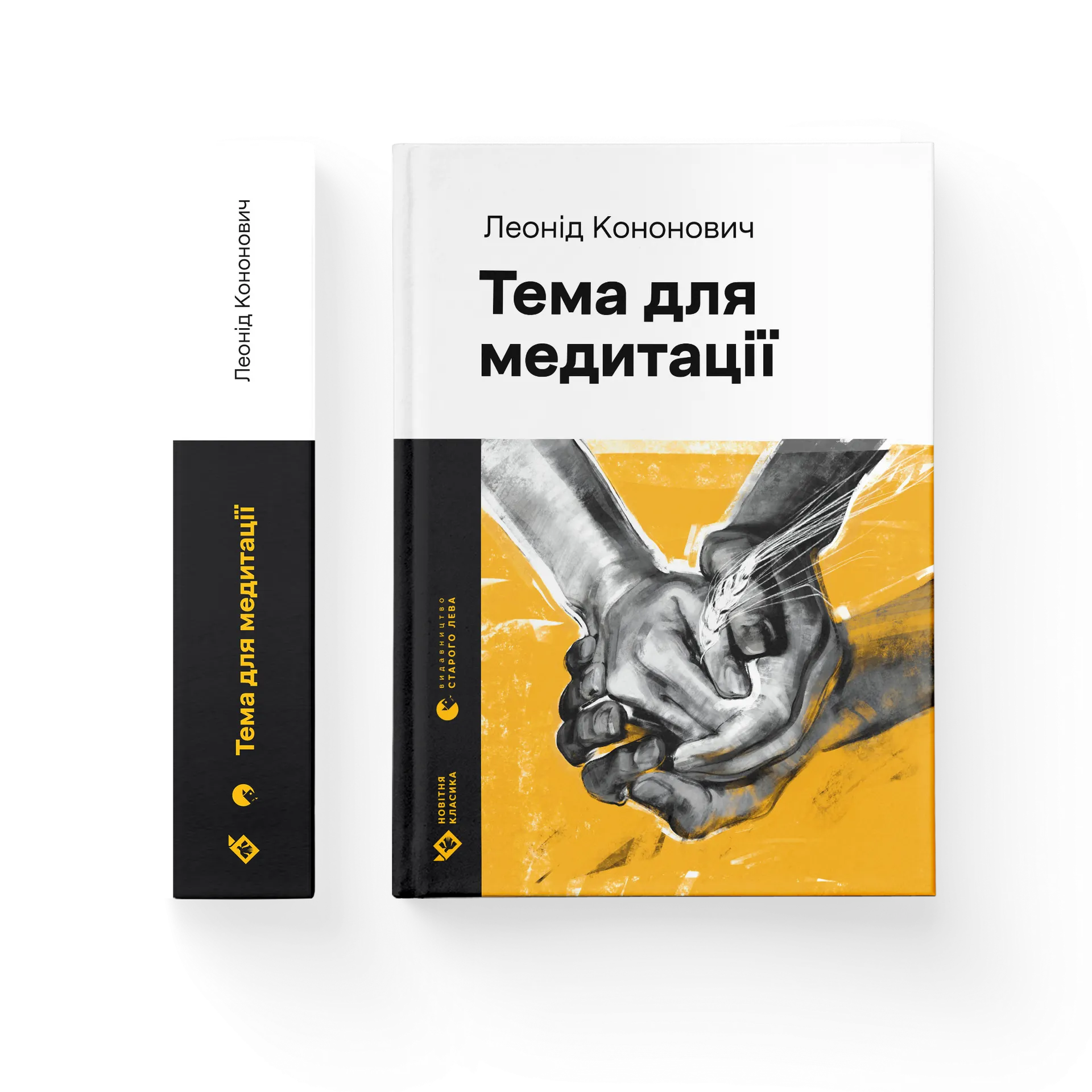 Дефект. Книга Тема для медитації
