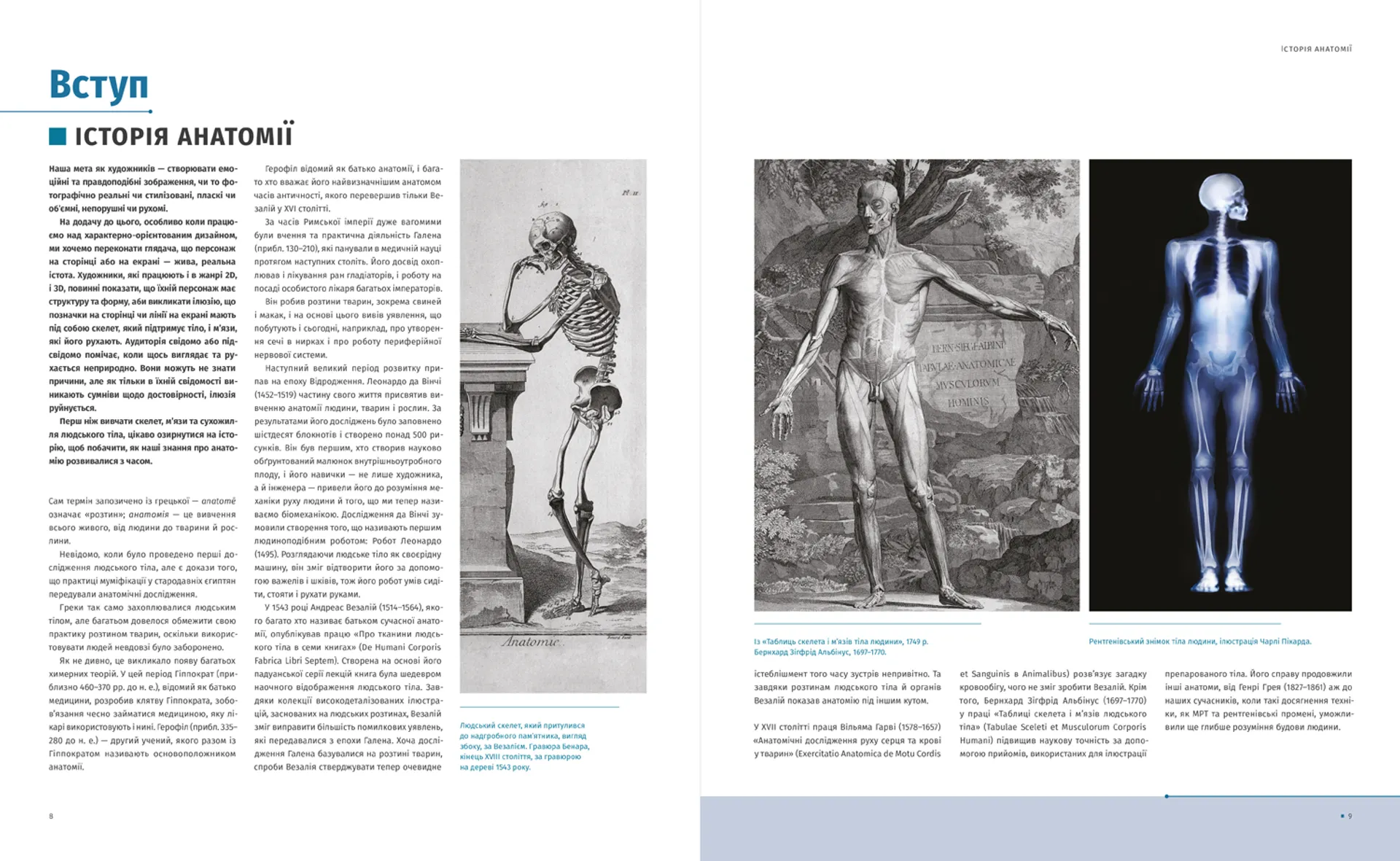 Анатомія для художників