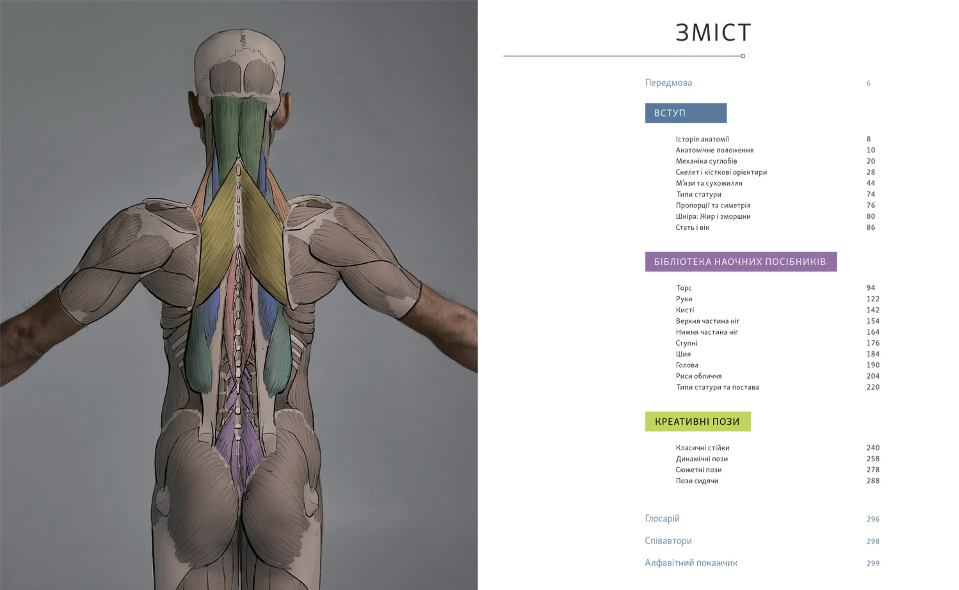 Анатомія для художників