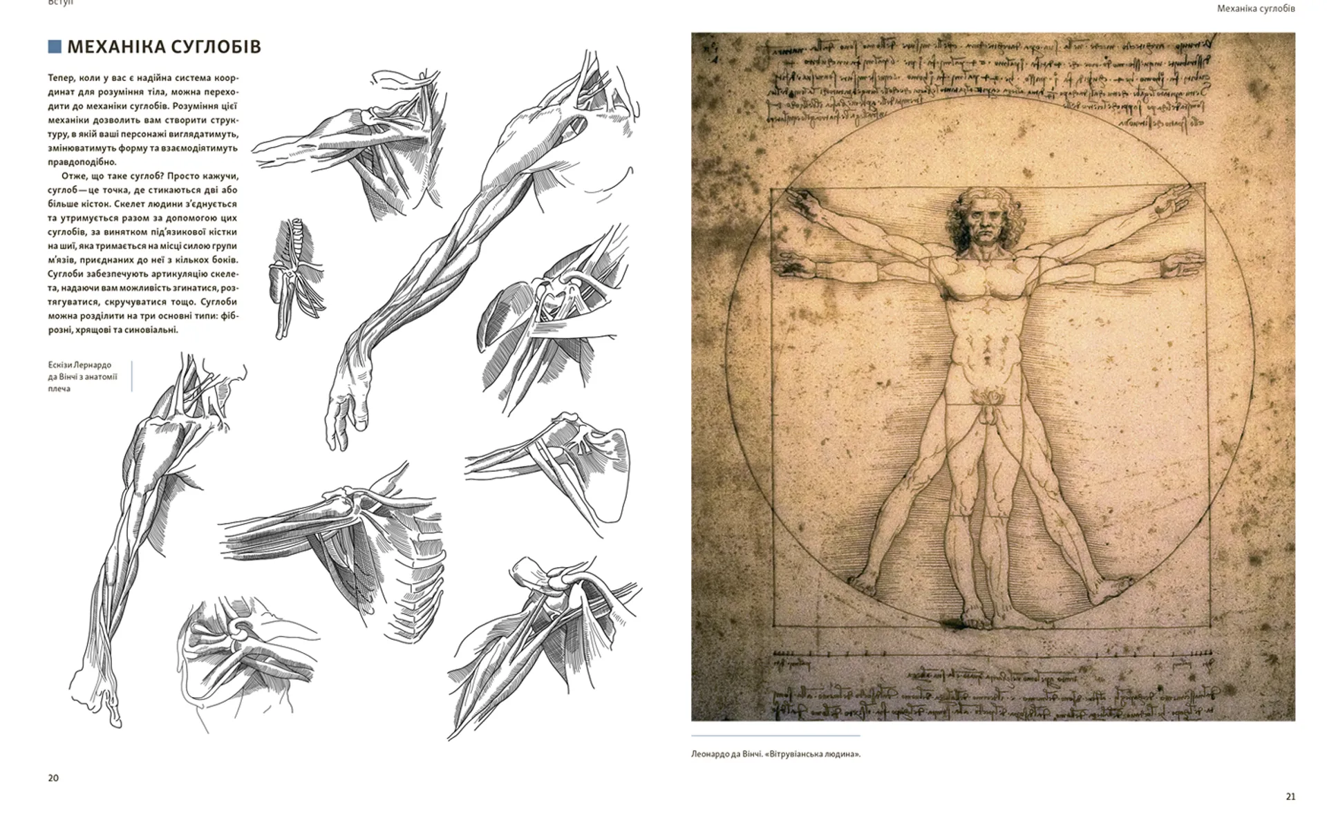 Анатомія для художників