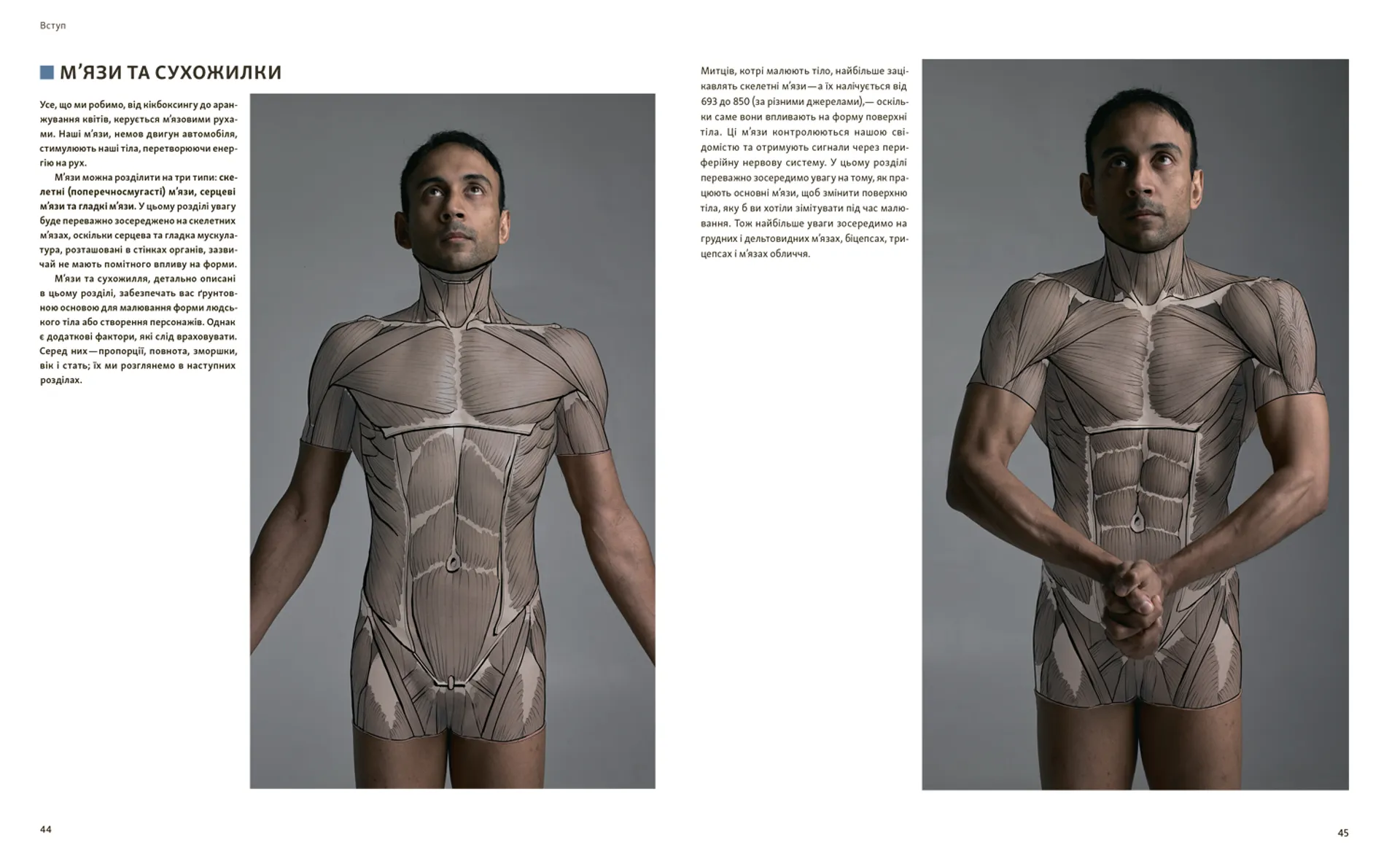 Анатомія для художників