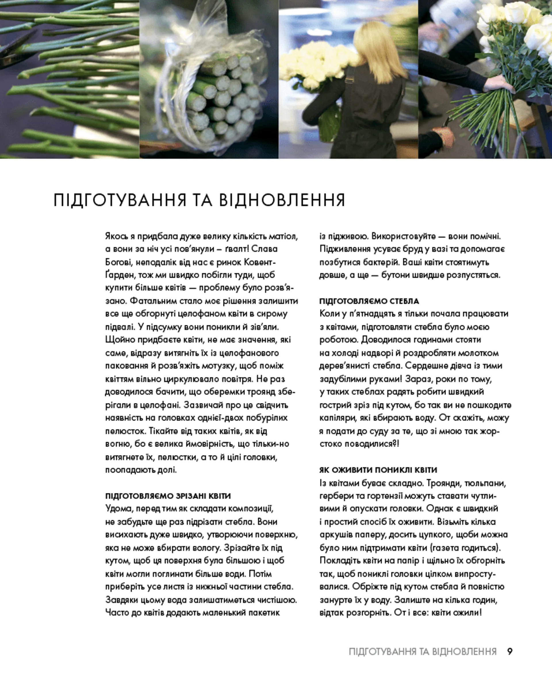 Курс флористики