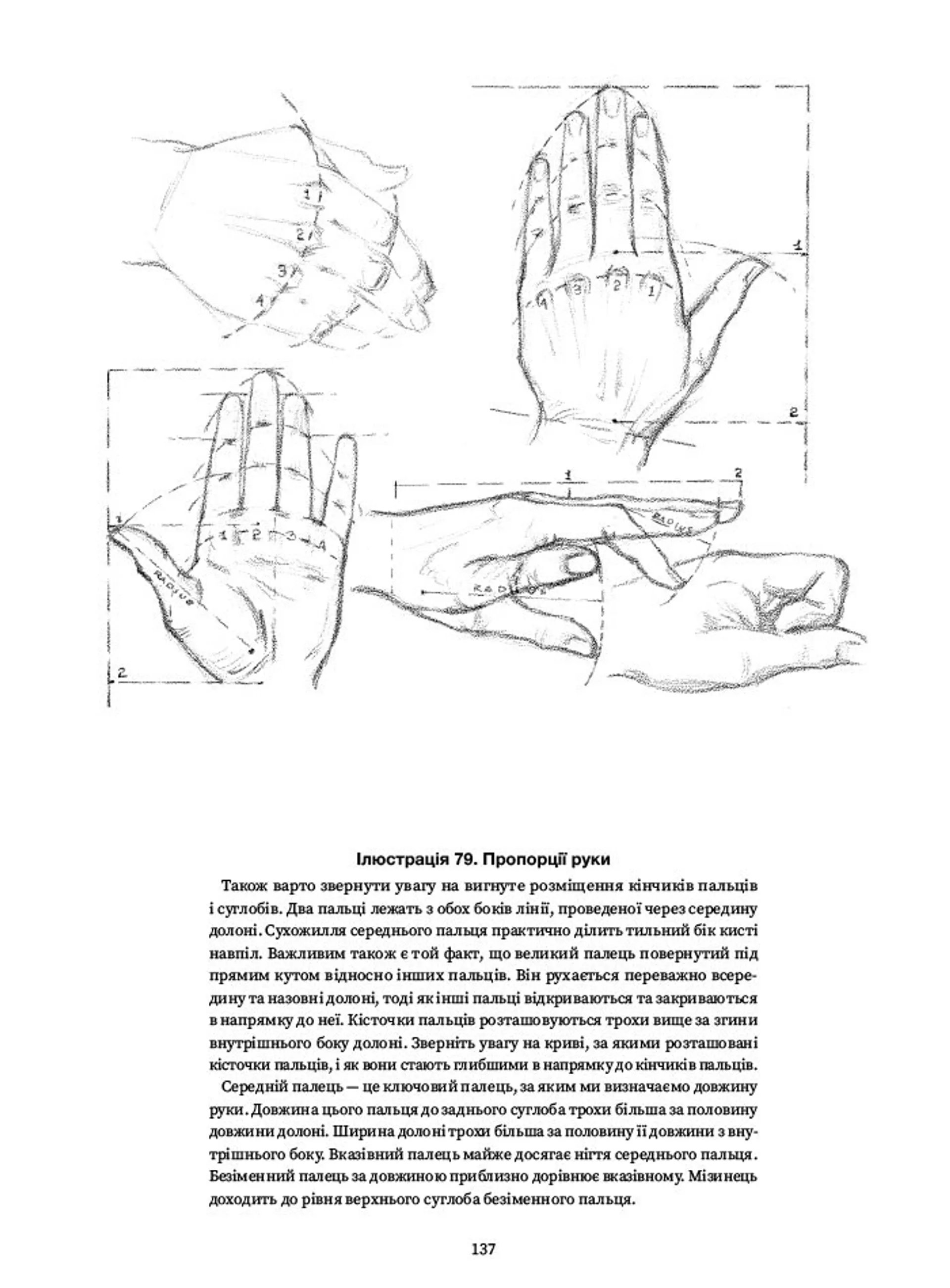 Рисуємо голови та руки