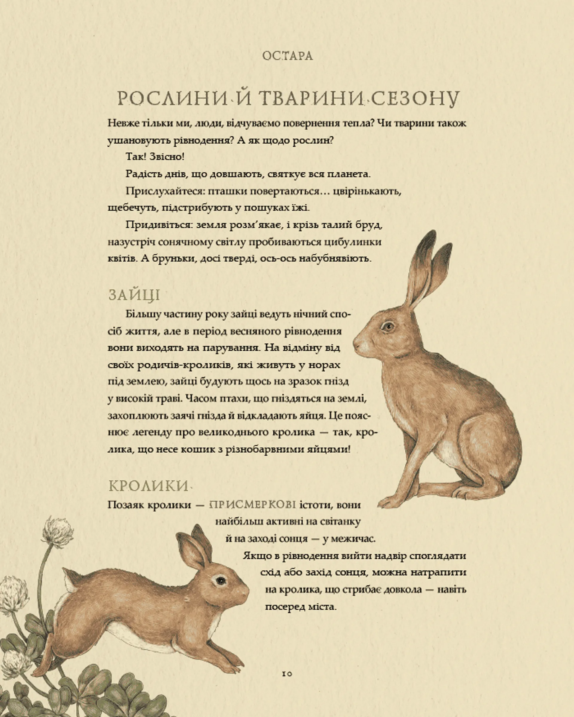 Колесо року: Ілюстрований путівник ритмами природи